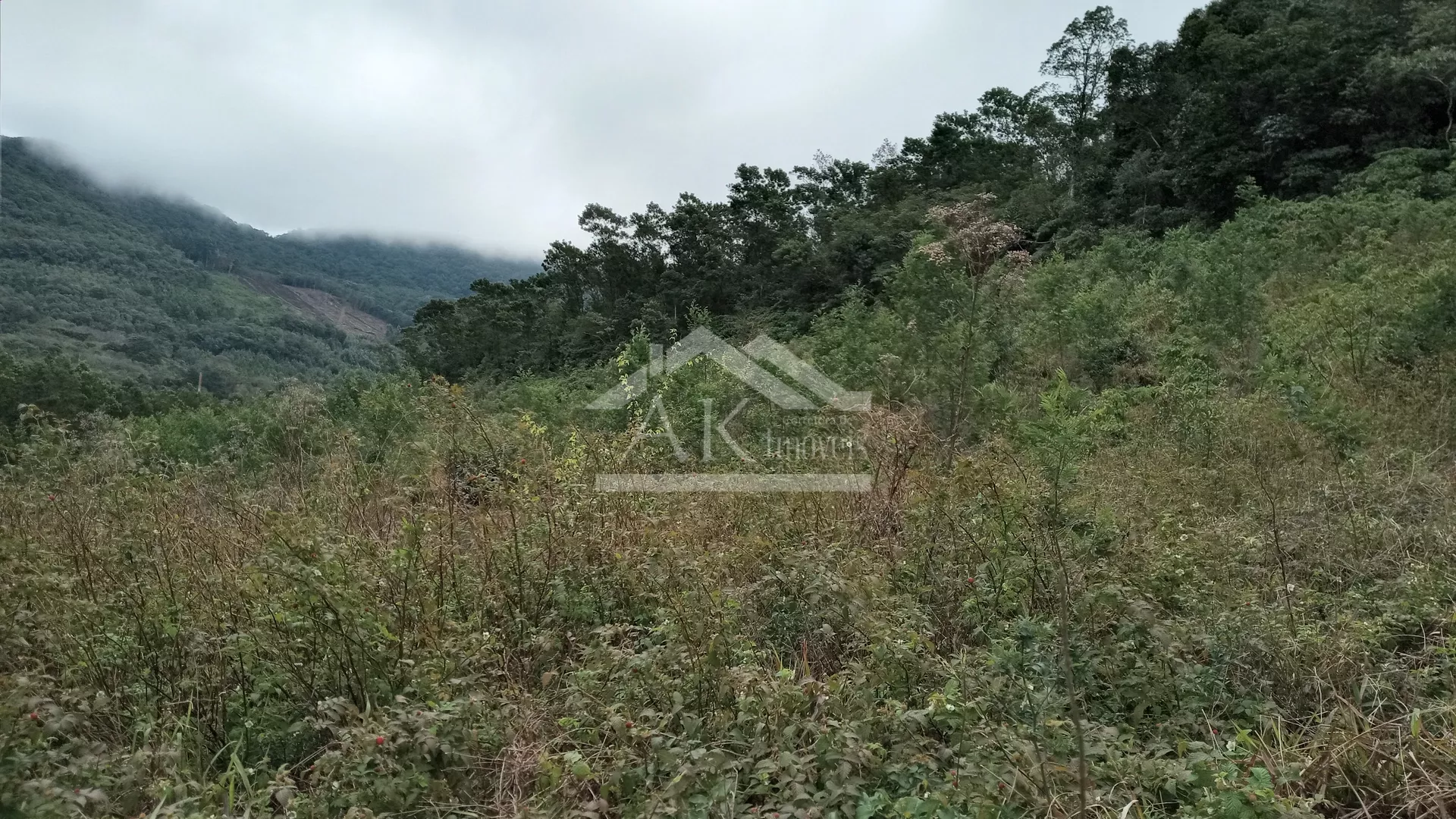 Área de terra com vista à venda no interior de Morro Reuter