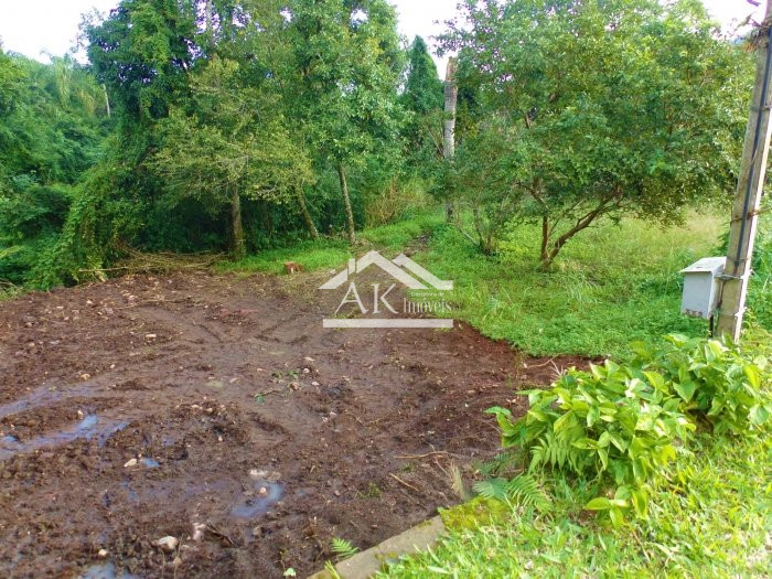 Terreno com declive a venda em ótimo bairro de Picada Café, na Serra Gaúcha