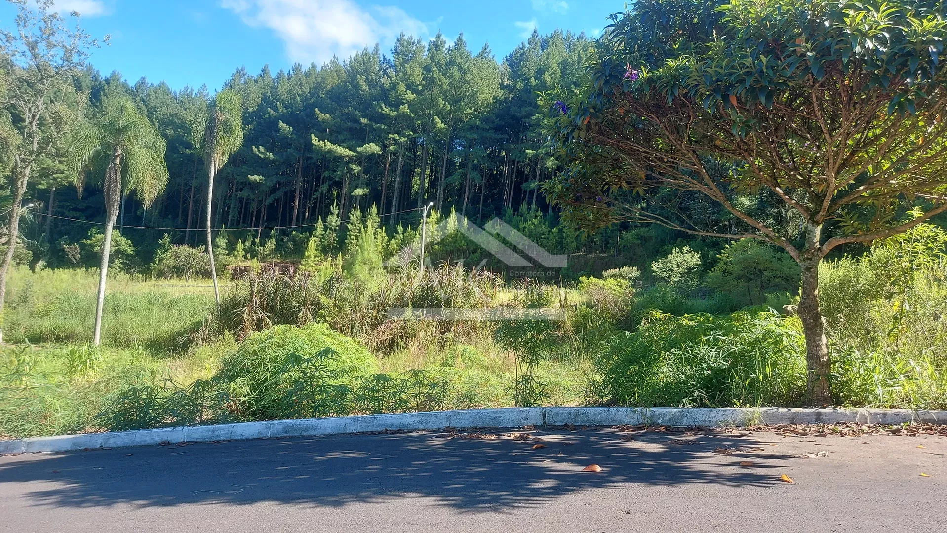 Terreno com vista, à venda, no Centro de Picada Café, na Serra Gaúcha
