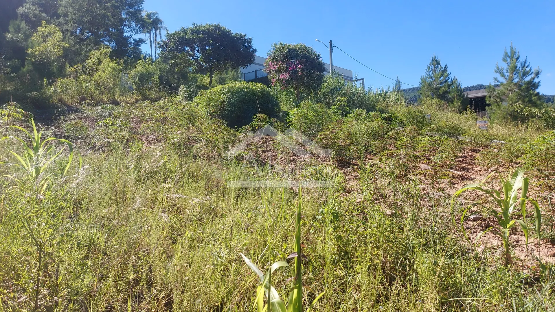 Terreno com vista, à venda, no Centro de Picada Café, na Serra Gaúcha