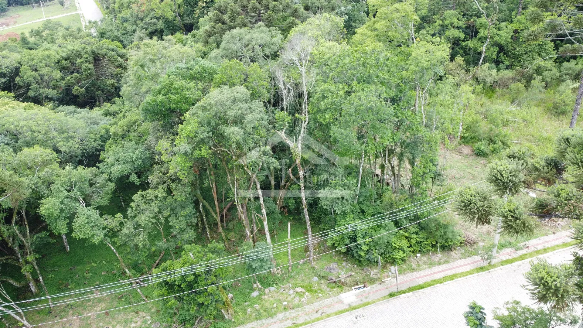 Terreno com fundos para área verde à venda em Nova Petrópolis na Serra Gaúcha