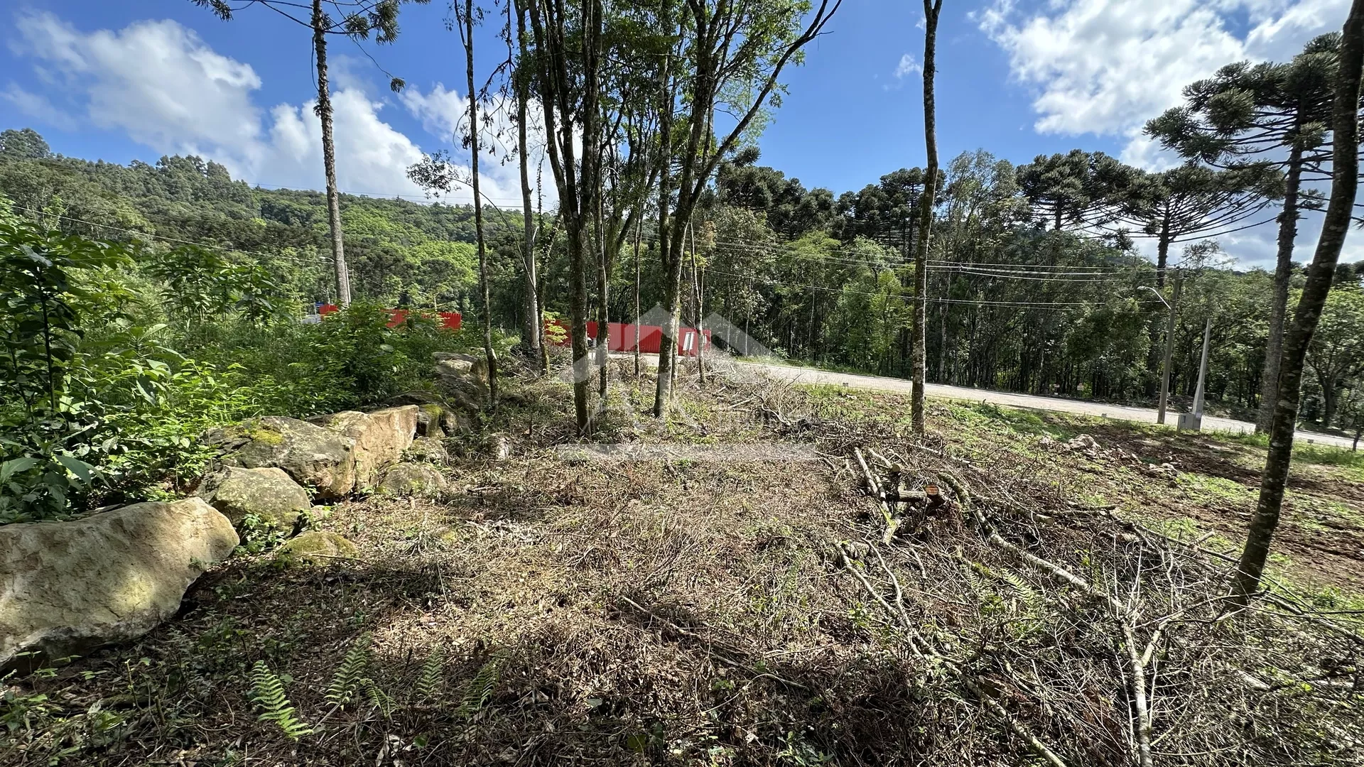 Terreno com fundos para área verde à venda em Nova Petrópolis na Serra Gaúcha