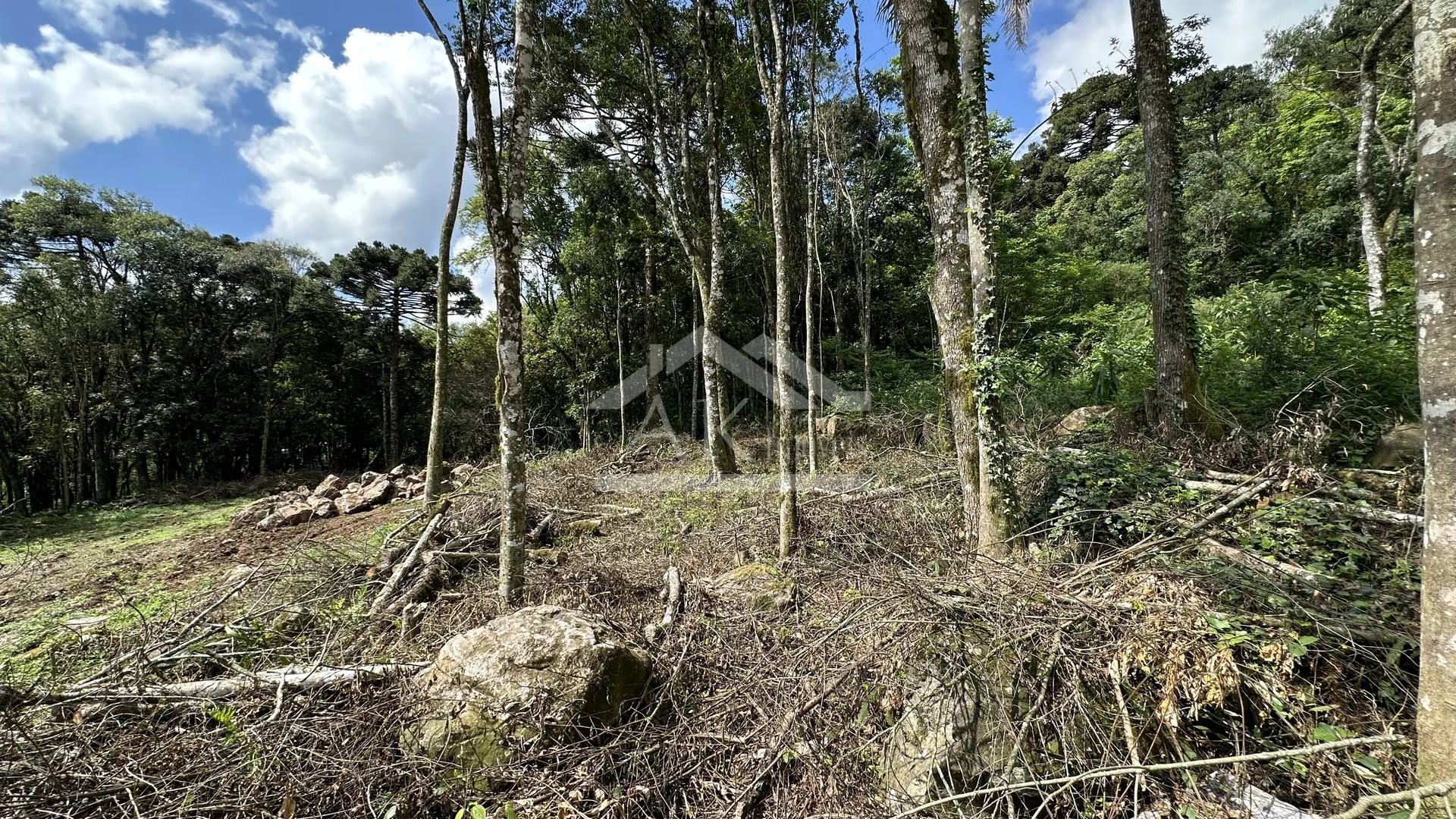 Terreno com fundos para área verde à venda em Nova Petrópolis na Serra Gaúcha