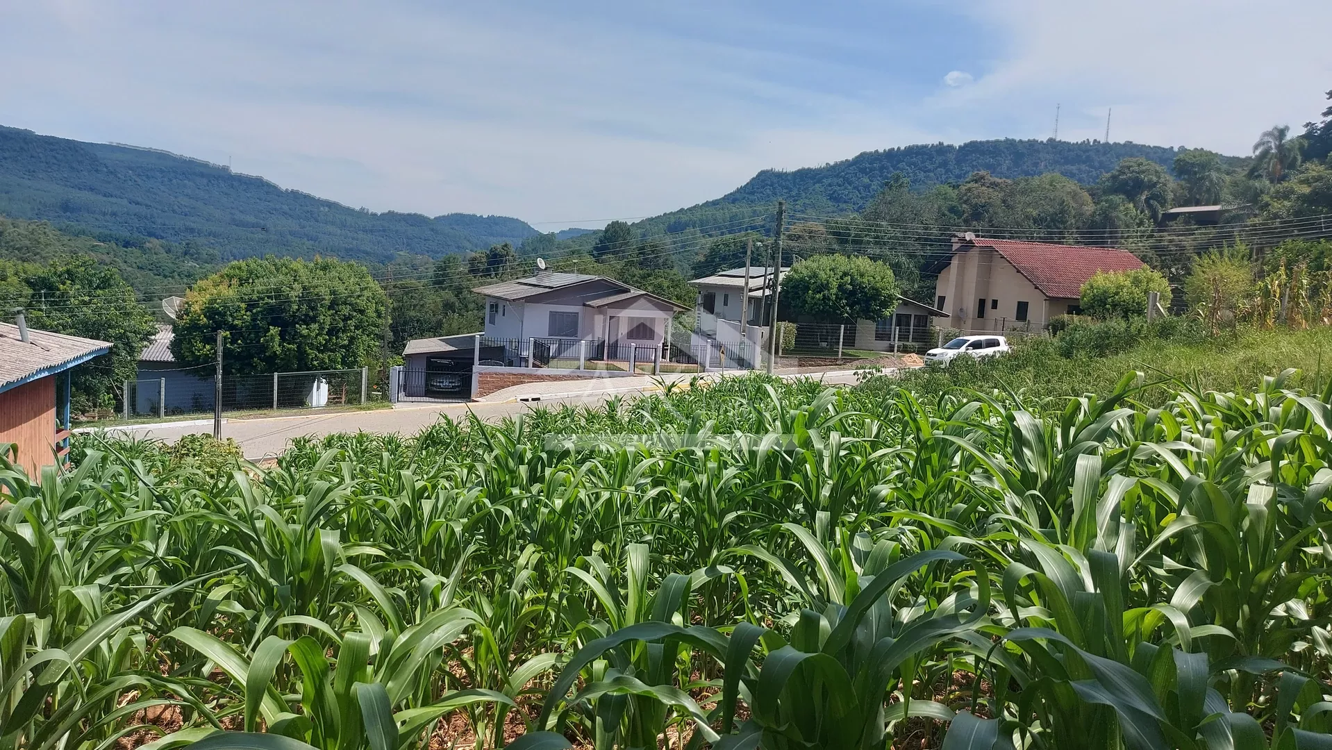 Terrenos urbanos com bela vista à venda em Picada Café na Serra Gaúcha