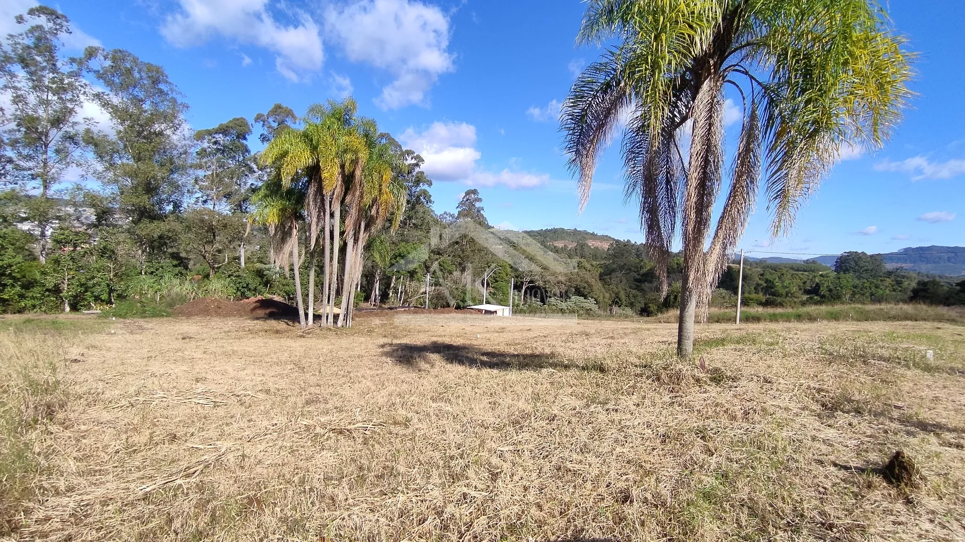 Terrenos urbanos, com excelente localização à venda em Presidente Lucena, na Serra Gaúcha