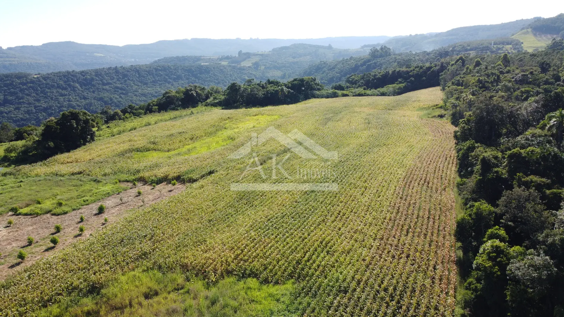 Área em topo de morro à venda em Presidente Lucena-RS
