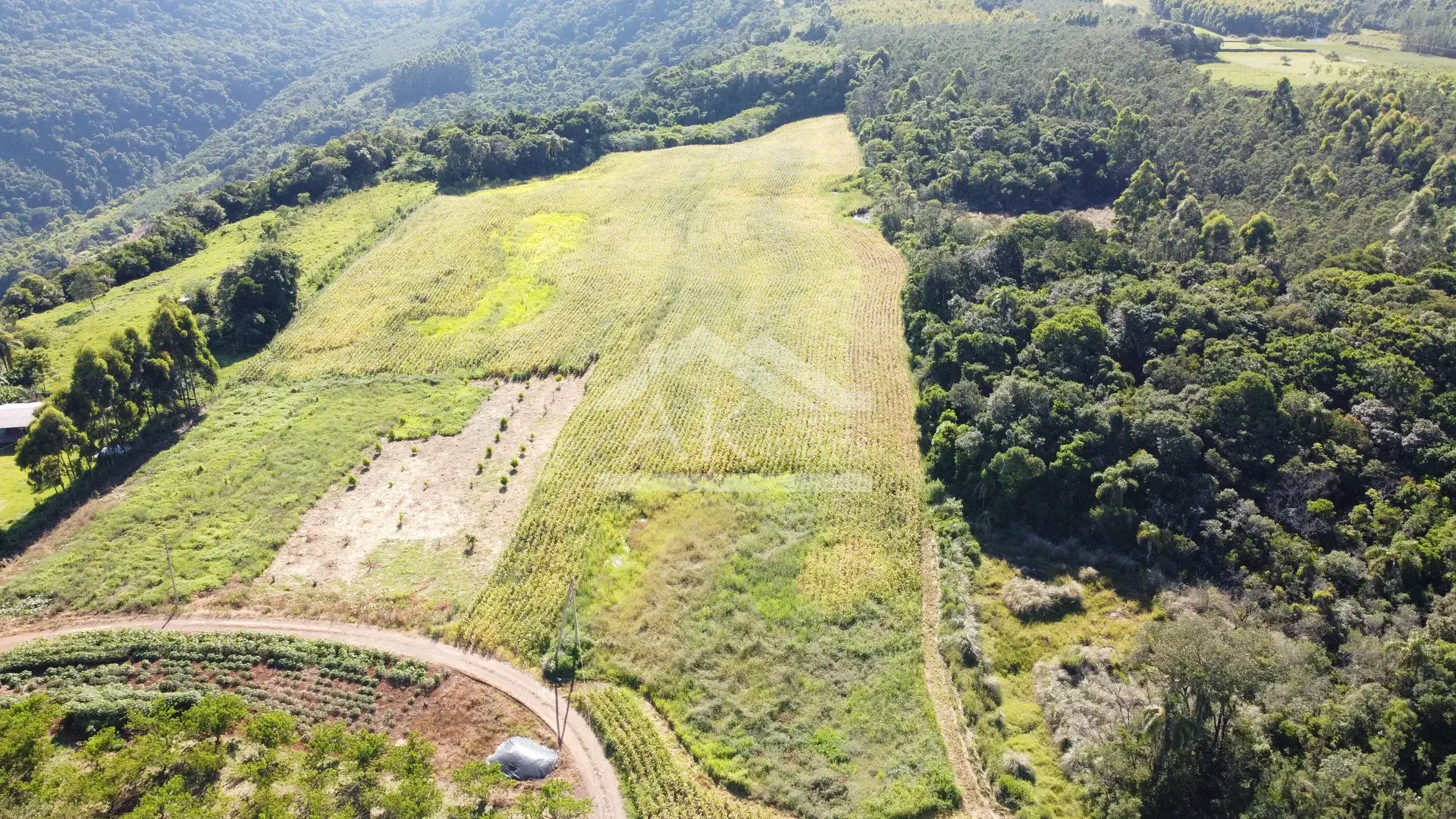 Área em topo de morro à venda em Presidente Lucena-RS