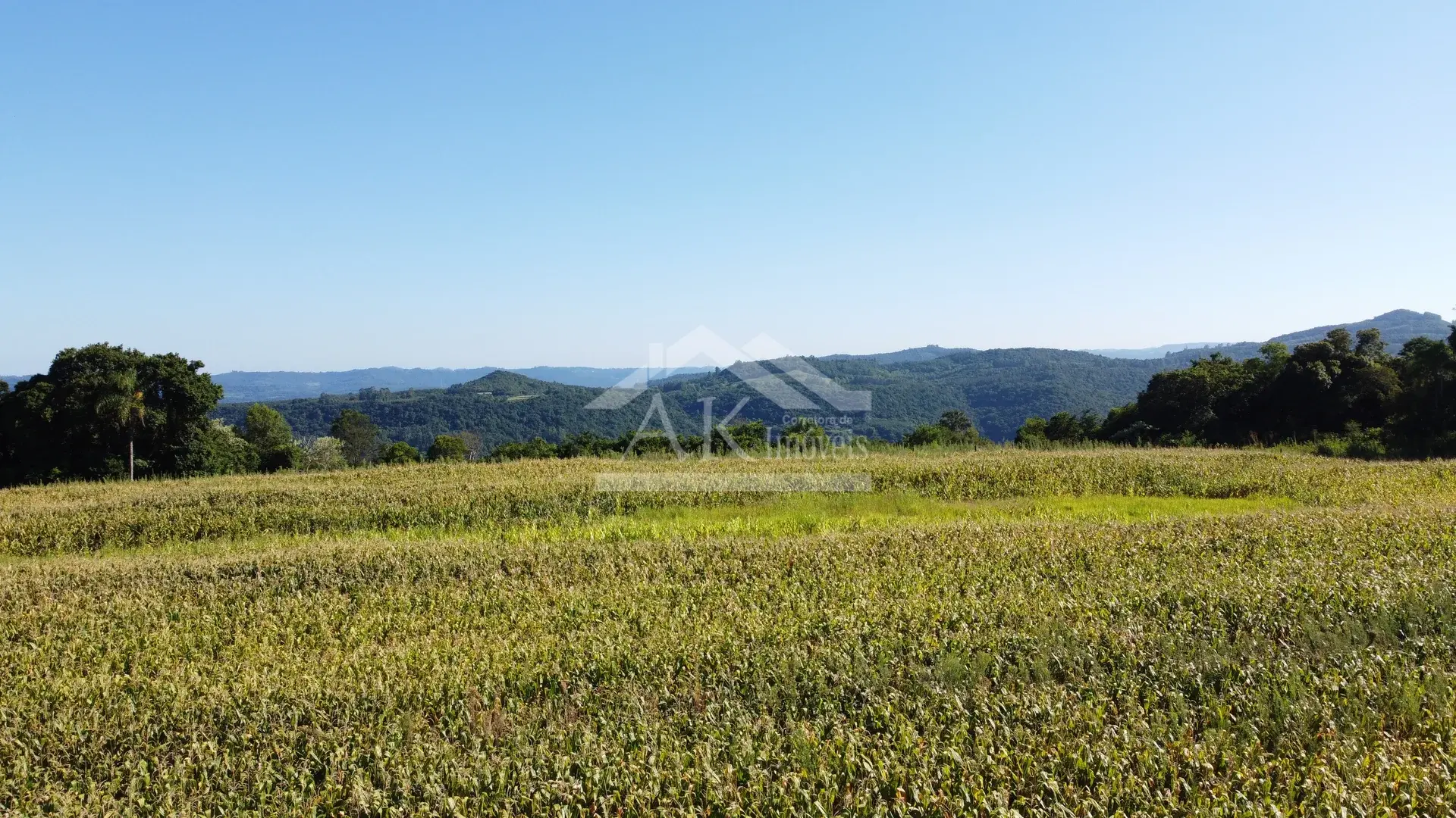 Área em topo de morro à venda em Presidente Lucena-RS