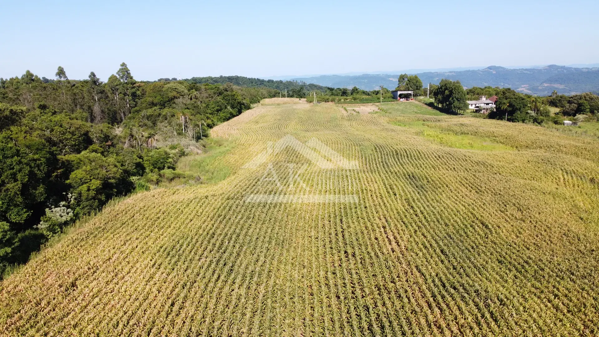 Área em topo de morro à venda em Presidente Lucena-RS