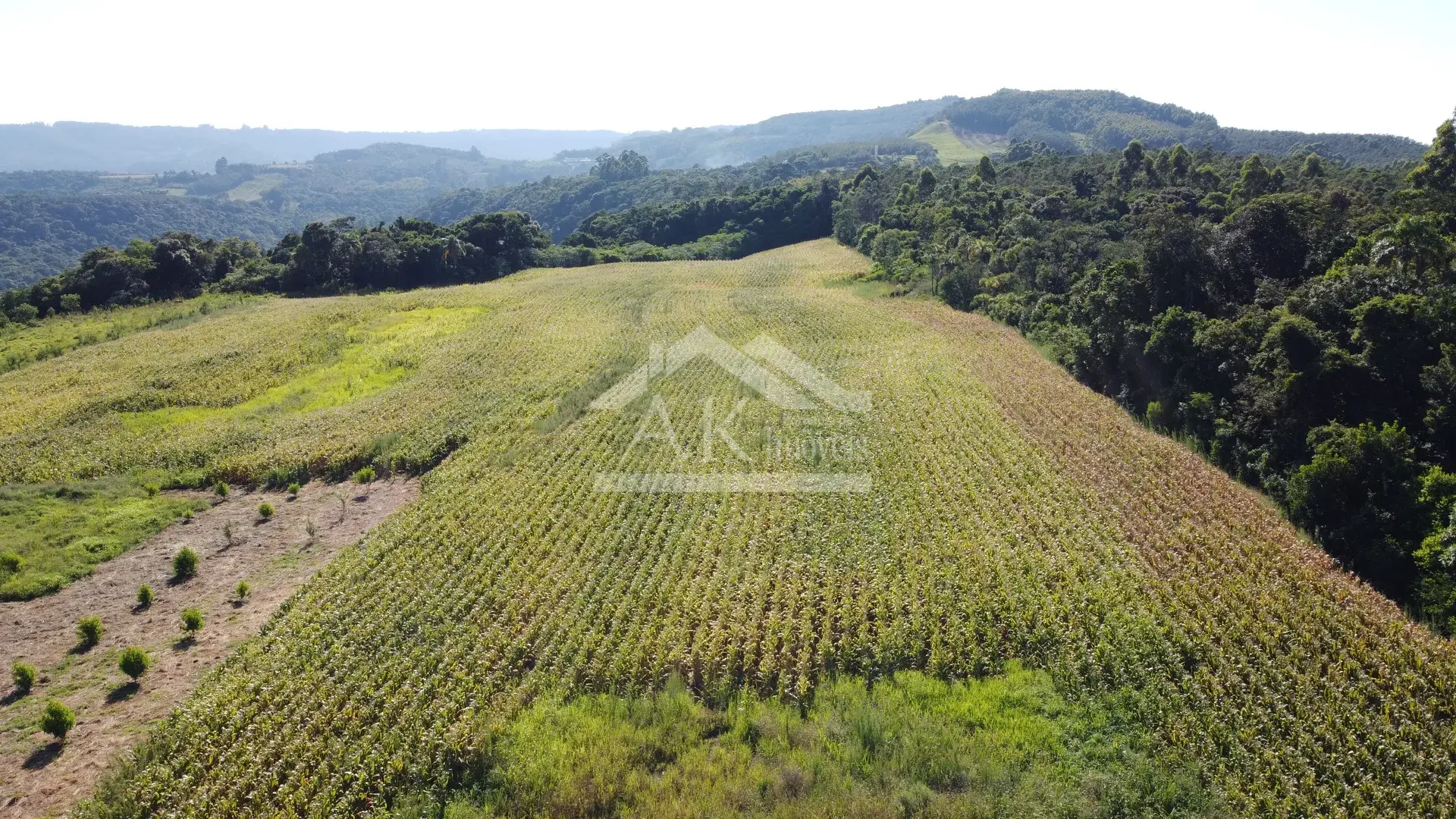 Área em topo de morro à venda em Presidente Lucena-RS