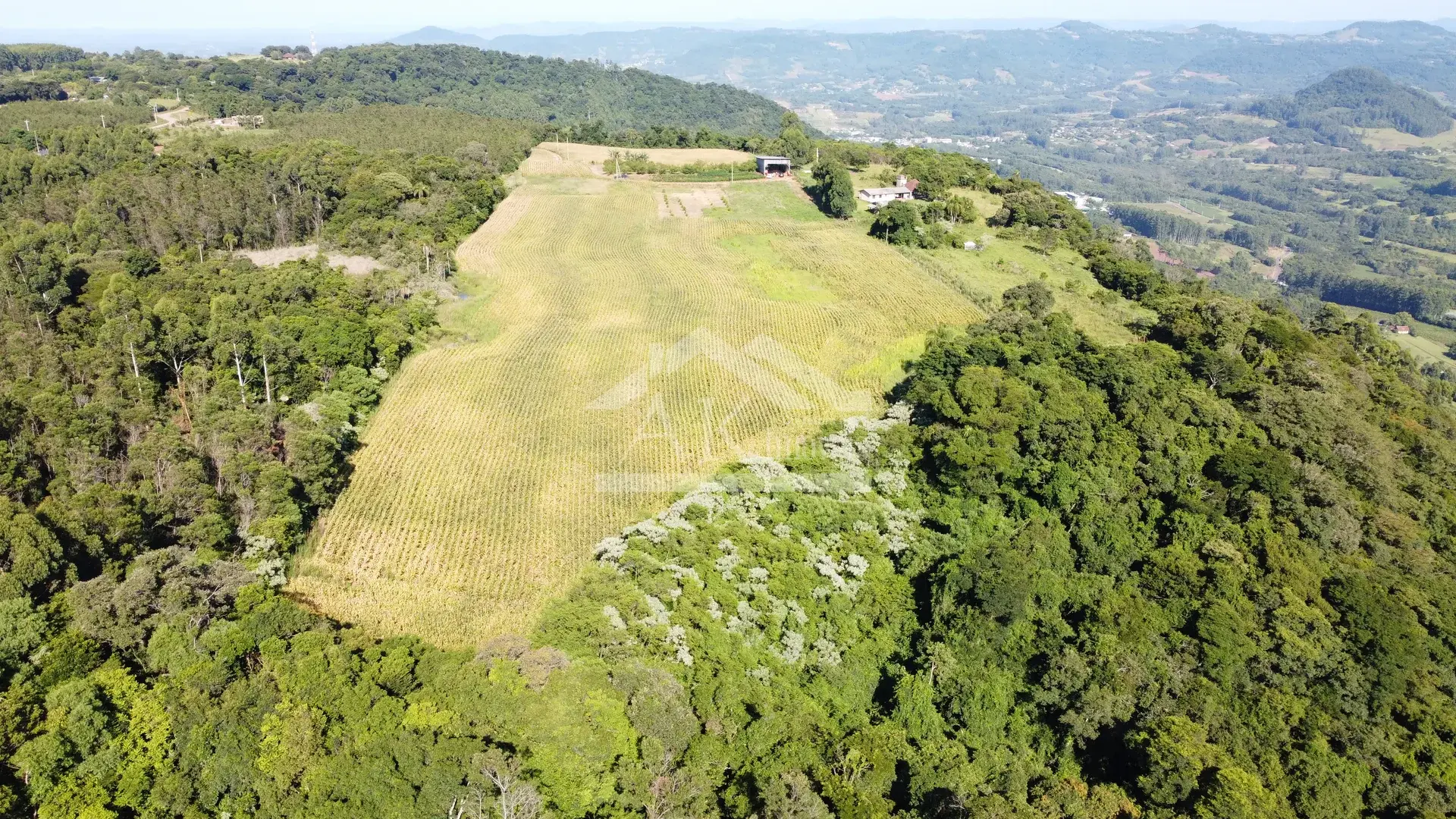 Área em topo de morro à venda em Presidente Lucena-RS