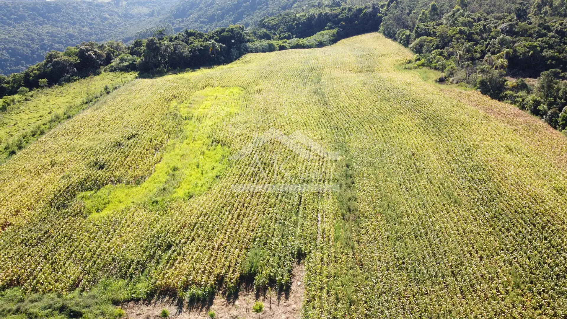 Área em topo de morro à venda em Presidente Lucena-RS