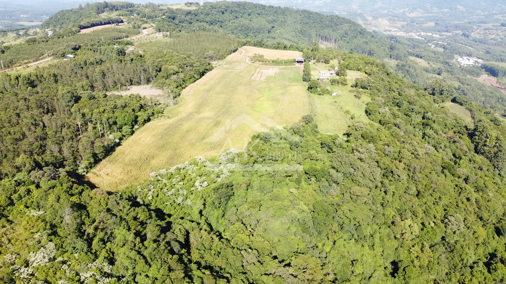 Área em topo de morro à venda em Presidente Lucena-RS