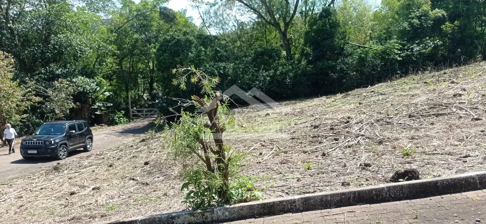 Terreno de esquina à venda em Picada Café, na Serra Gaúcha
