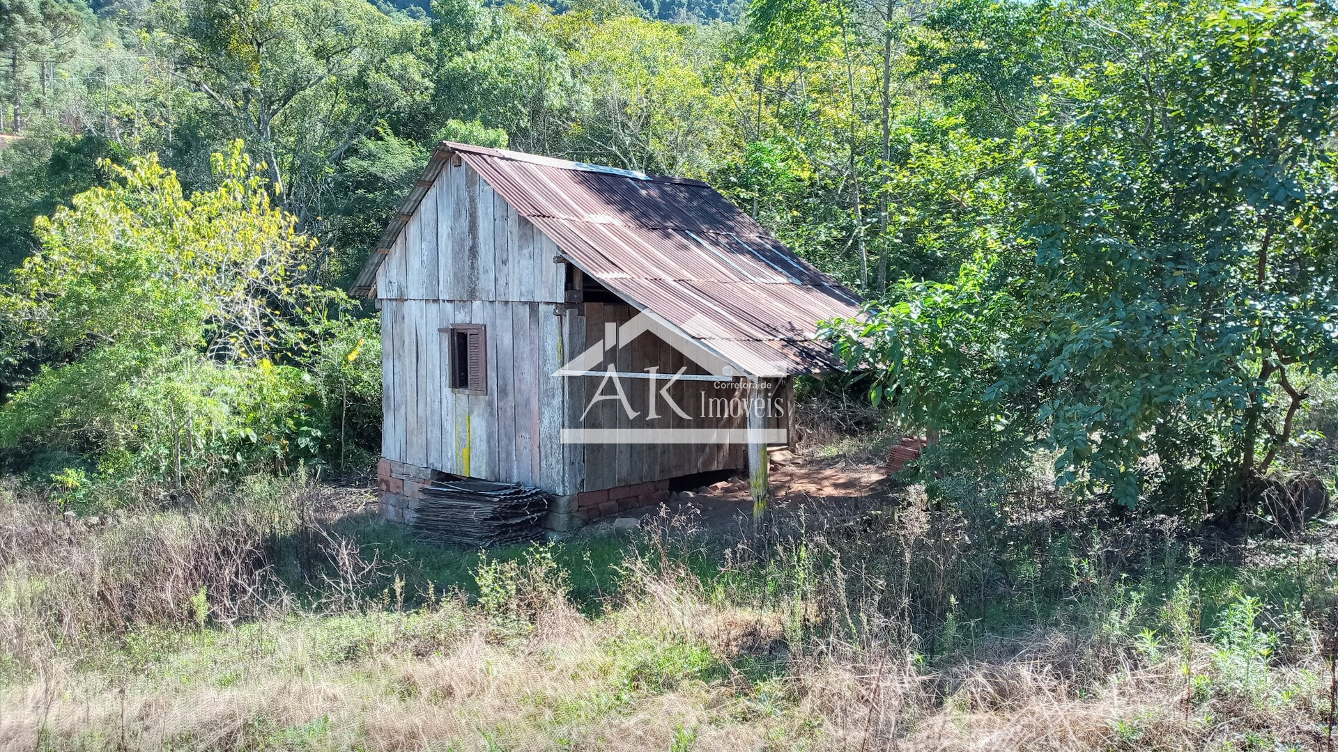 Imagens do imóveis Sítio com casa centenária e riacho a venda em Linha Nova na Serra Gaúcha