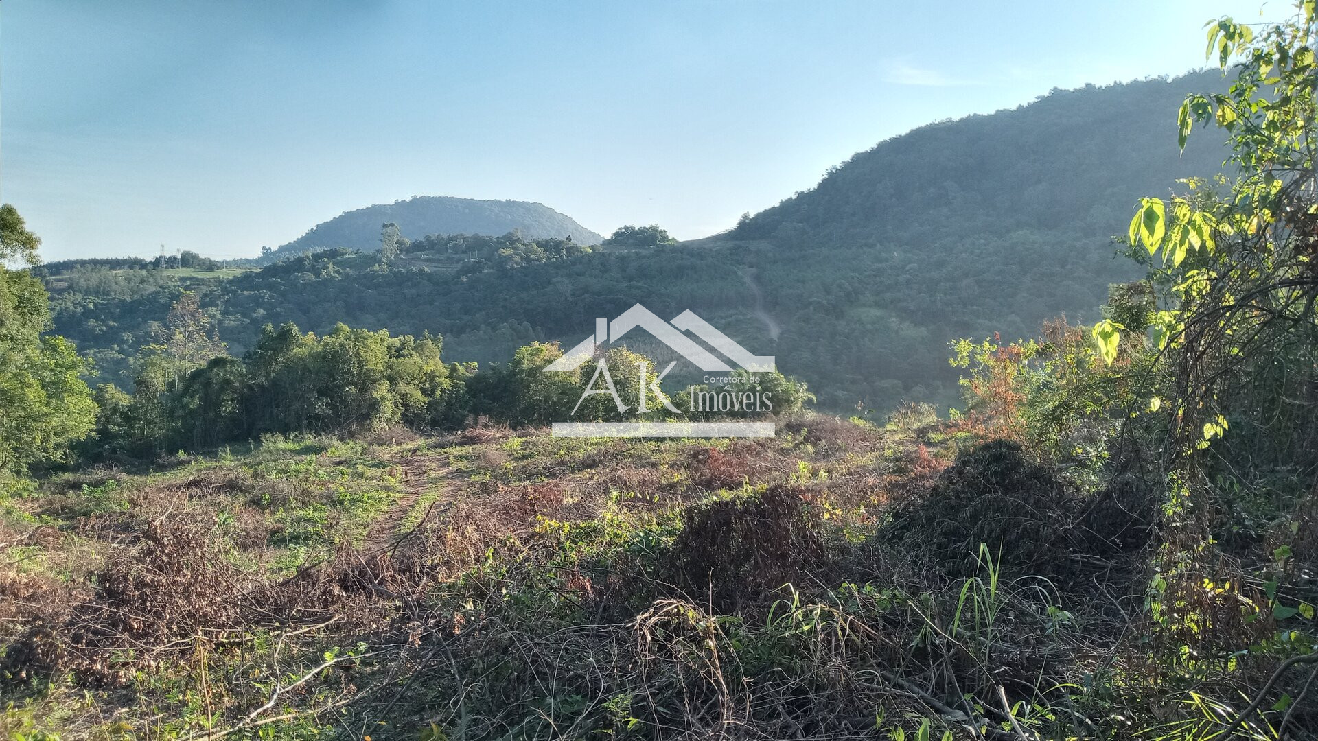 Imagens do imóveis Sítio com casa centenária e riacho a venda em Linha Nova na Serra Gaúcha