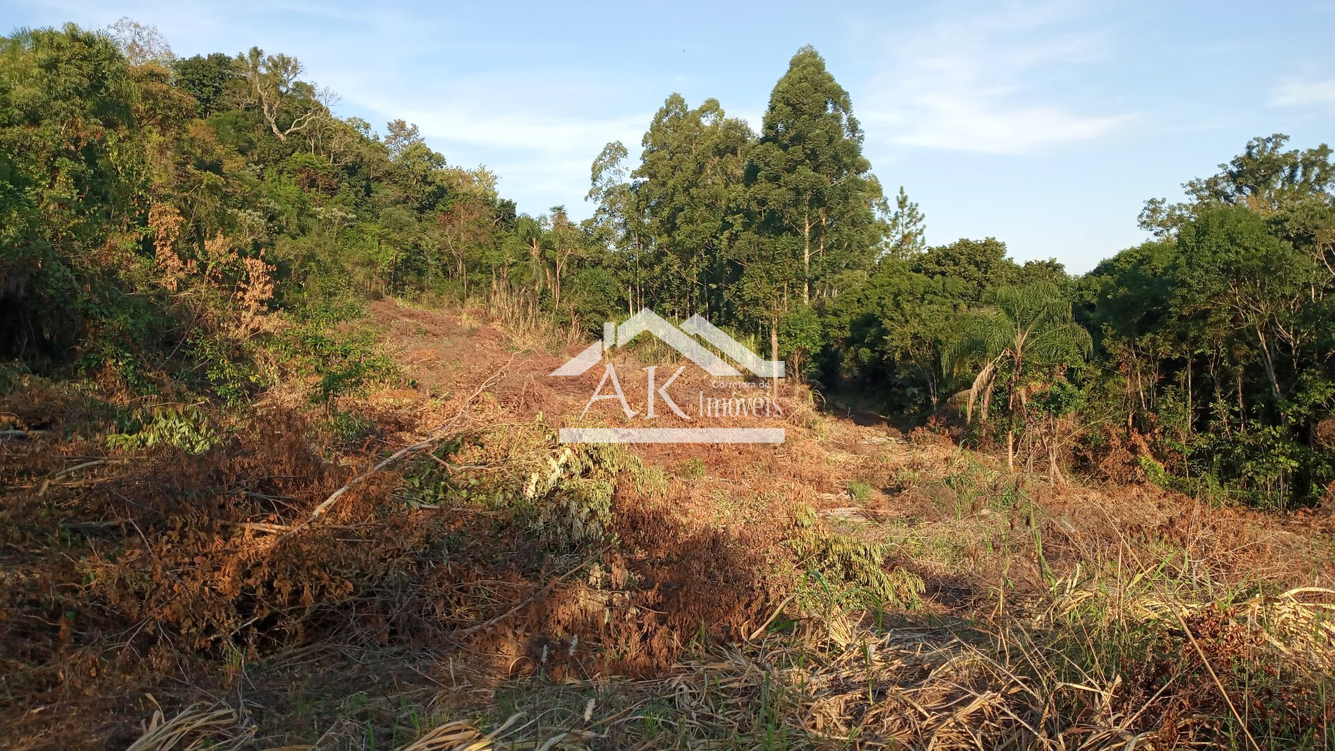 Imagens do imóveis Sítio com casa centenária e riacho a venda em Linha Nova na Serra Gaúcha