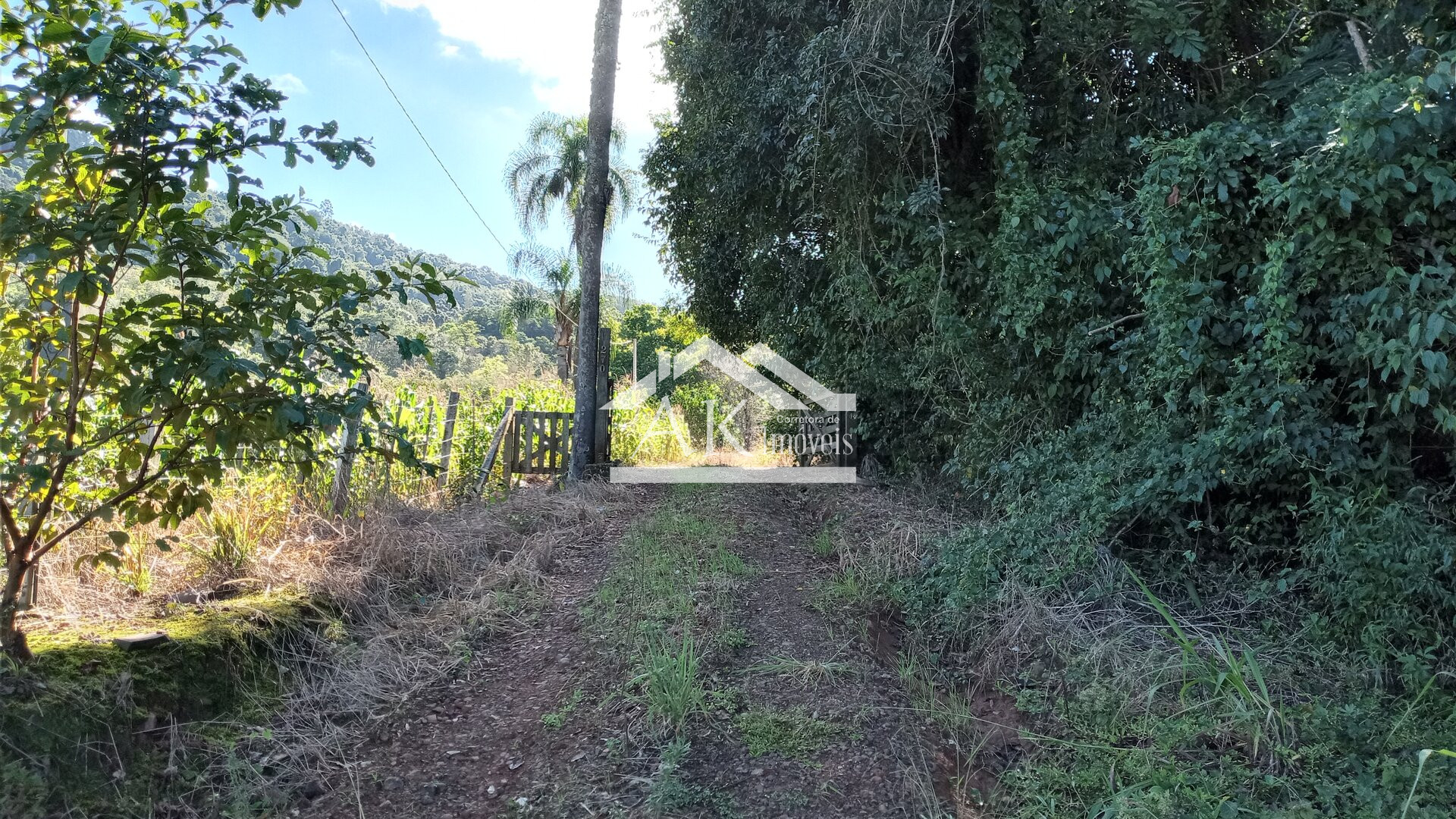 Imagens do imóveis Sítio com casa centenária e riacho a venda em Linha Nova na Serra Gaúcha