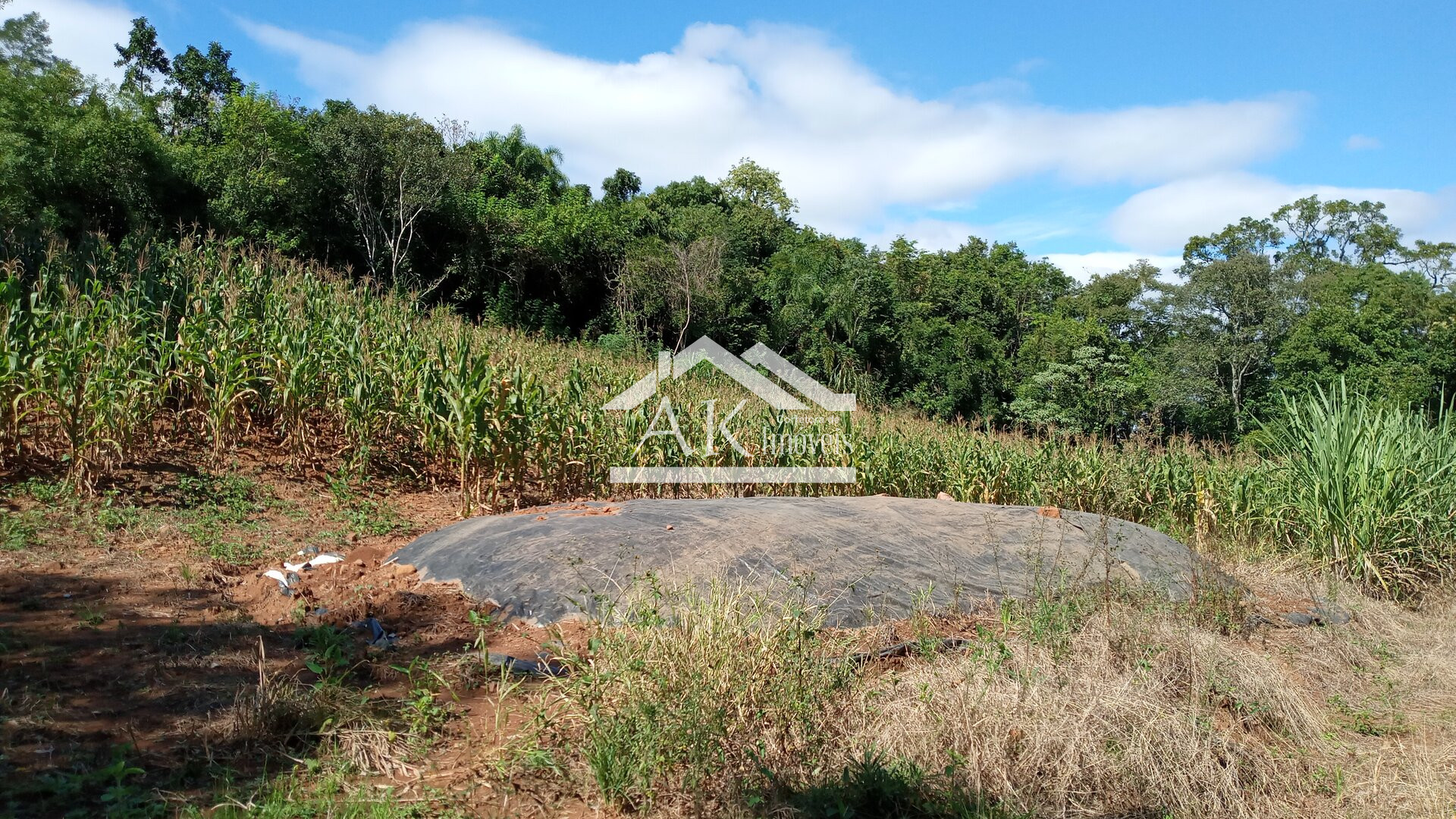 Imagens do imóveis Sítio com casa centenária e riacho a venda em Linha Nova na Serra Gaúcha