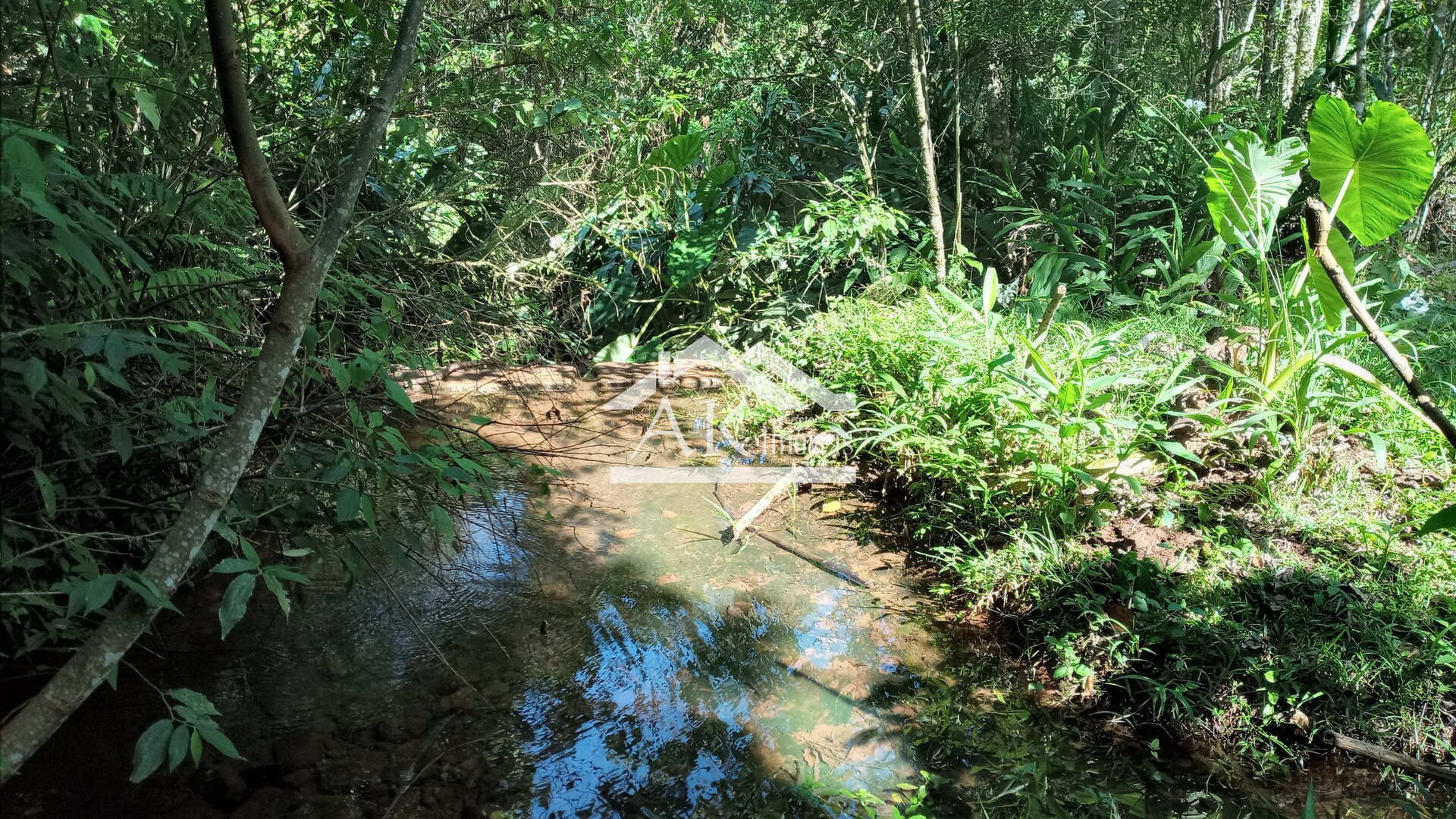 Imagens do imóveis Sítio com casa centenária e riacho a venda em Linha Nova na Serra Gaúcha
