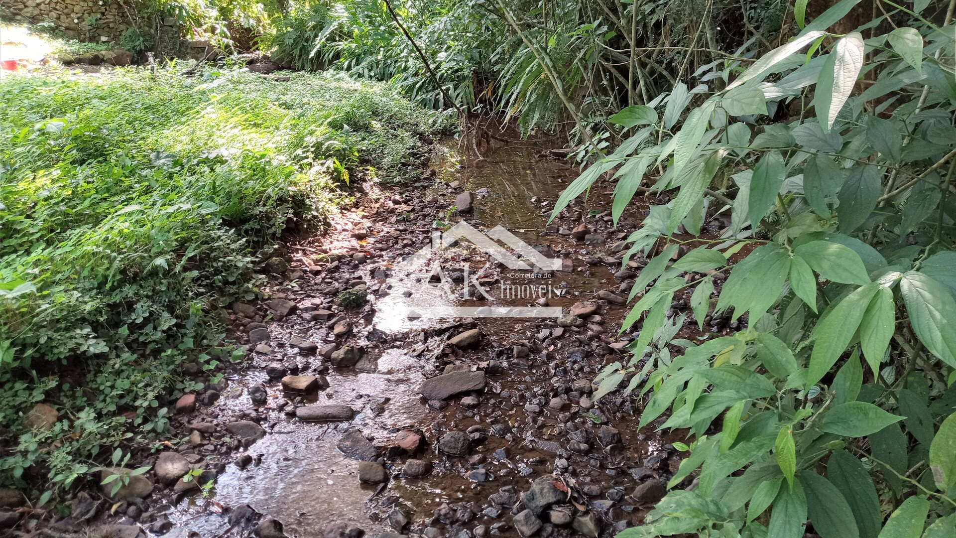 Imagens do imóveis Sítio com casa centenária e riacho a venda em Linha Nova na Serra Gaúcha