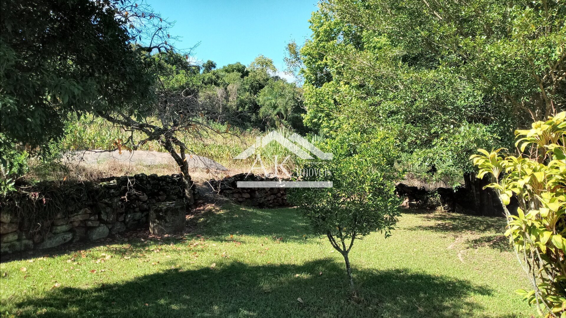 Imagens do imóveis Sítio com casa centenária e riacho a venda em Linha Nova na Serra Gaúcha