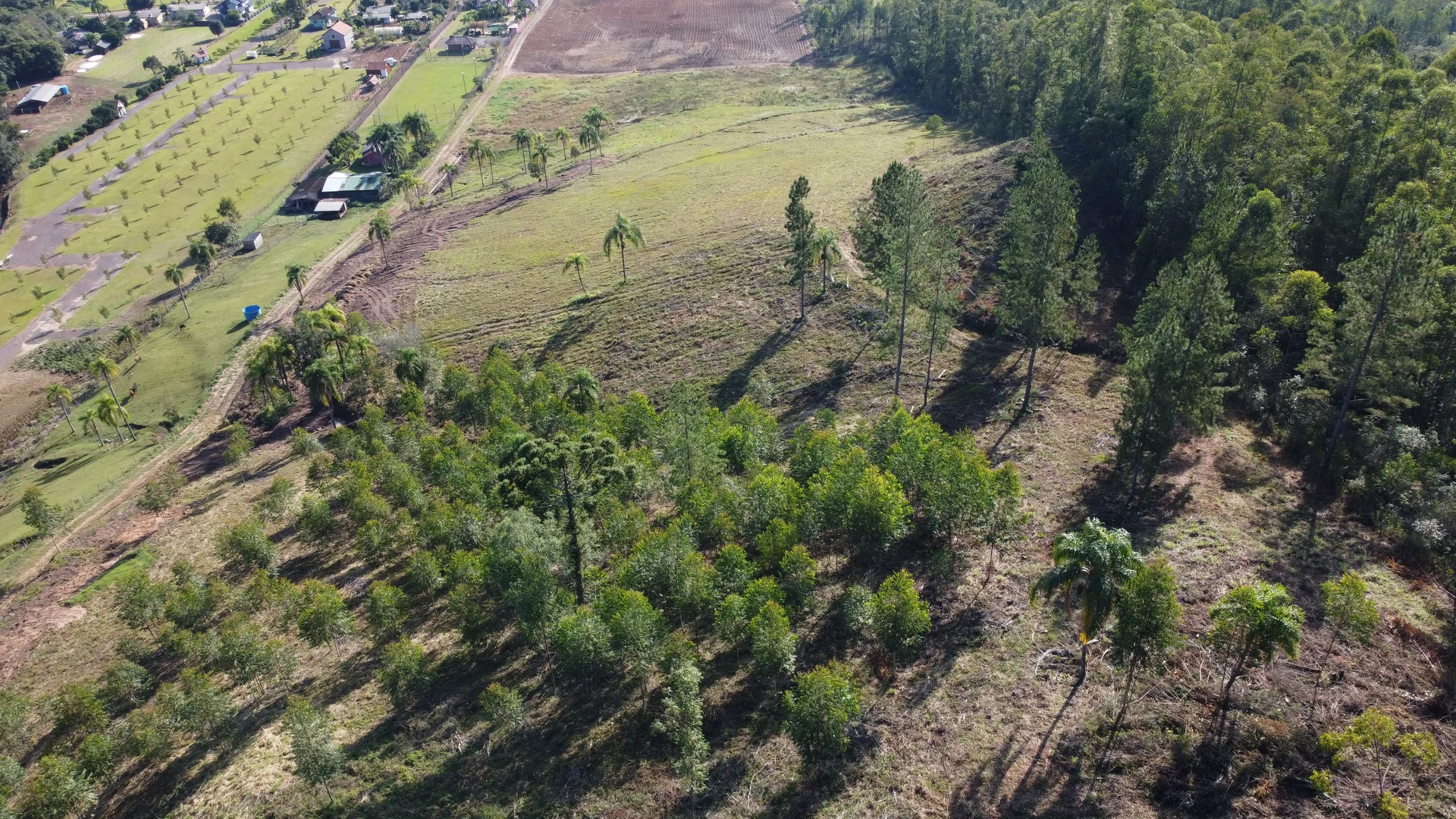 Área de terras com linda vista à venda em Picada Café, na Serra Gaúcha