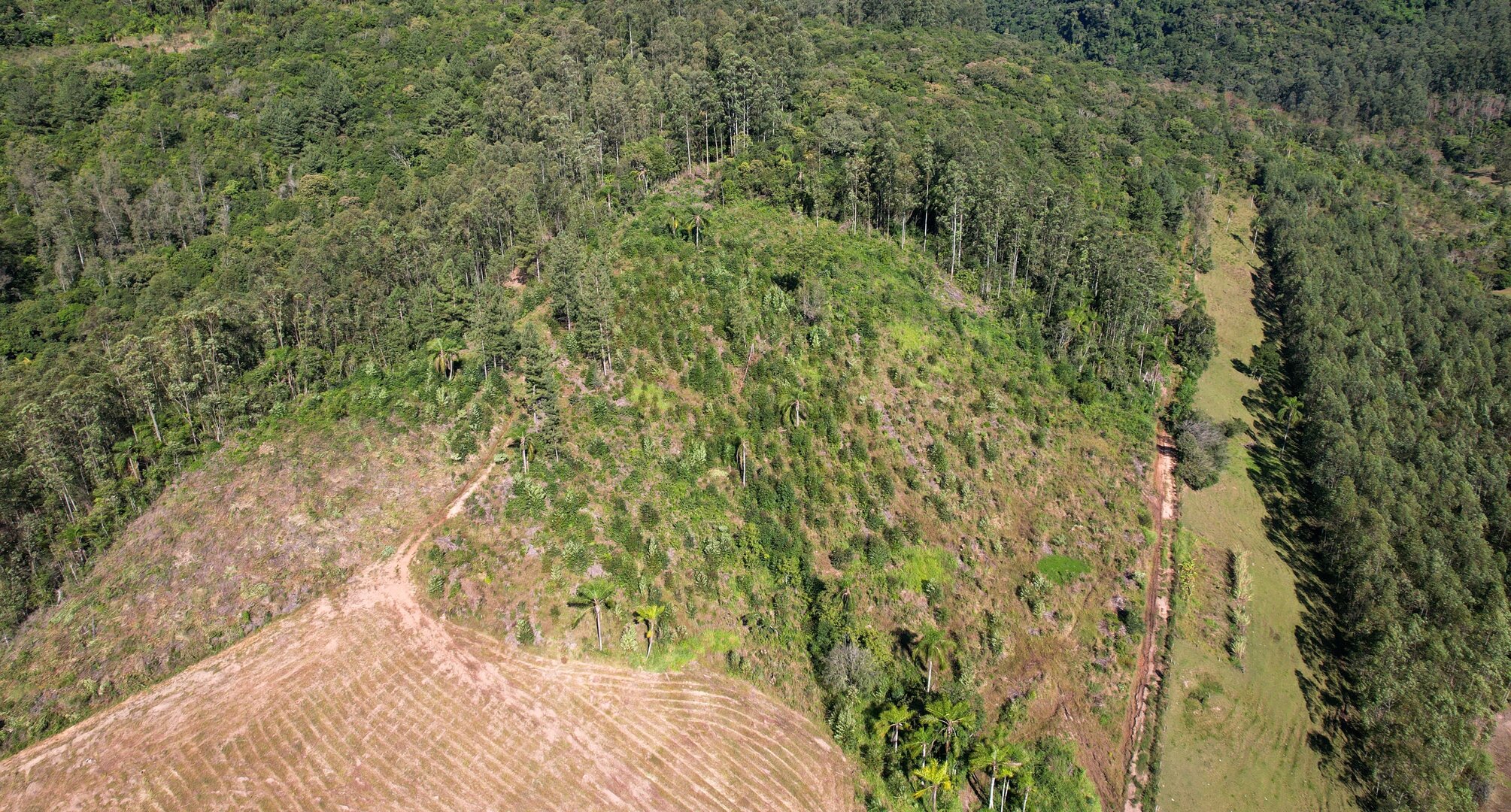 Área de terras com linda vista à venda em Picada Café, na Serra Gaúcha