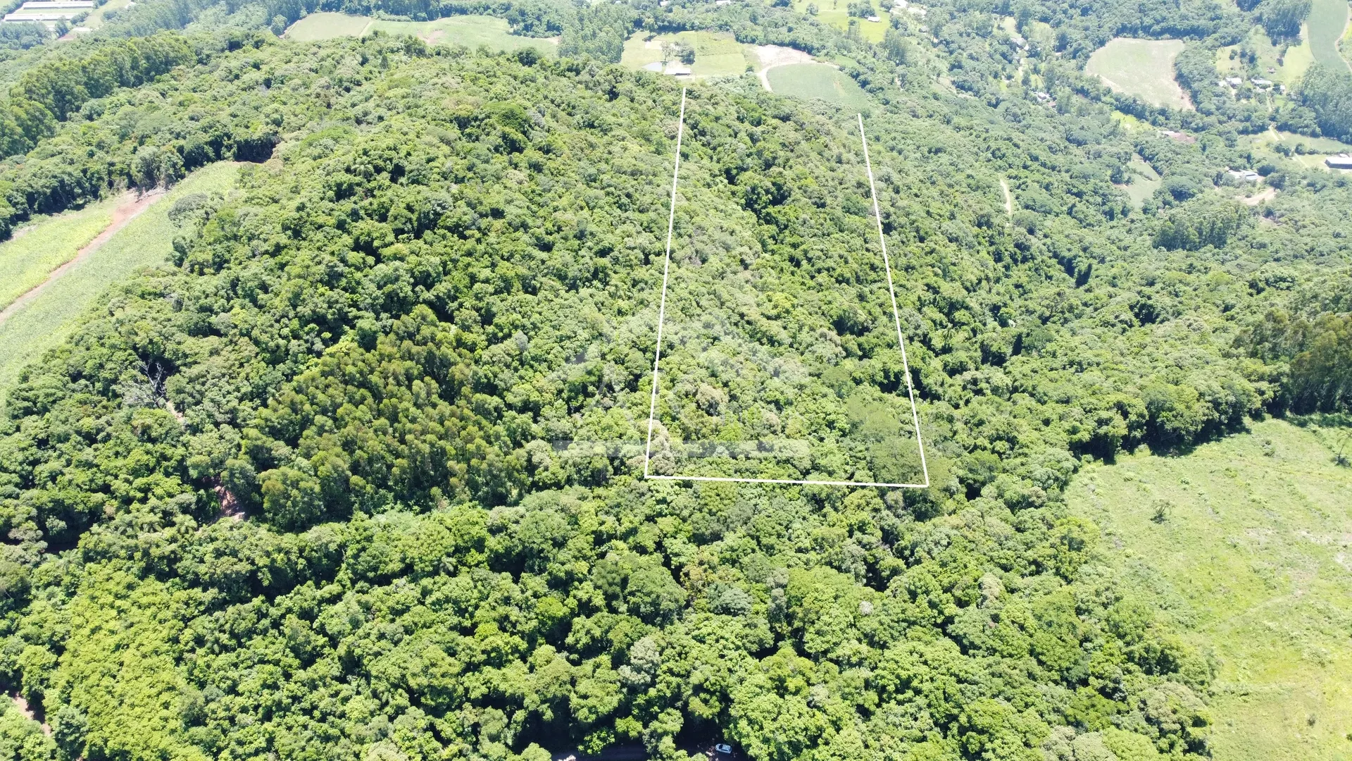 Área de terra com potencial de vista à venda em Picada Café na Serra Gaúcha