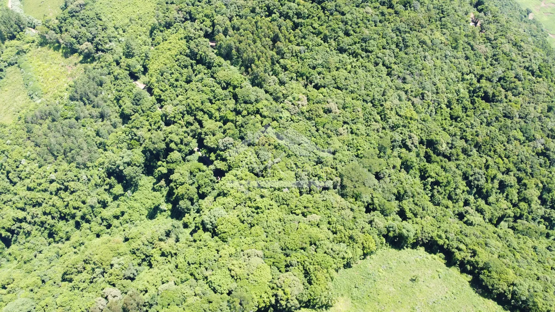 Área de terra com potencial de vista à venda em Picada Café na Serra Gaúcha