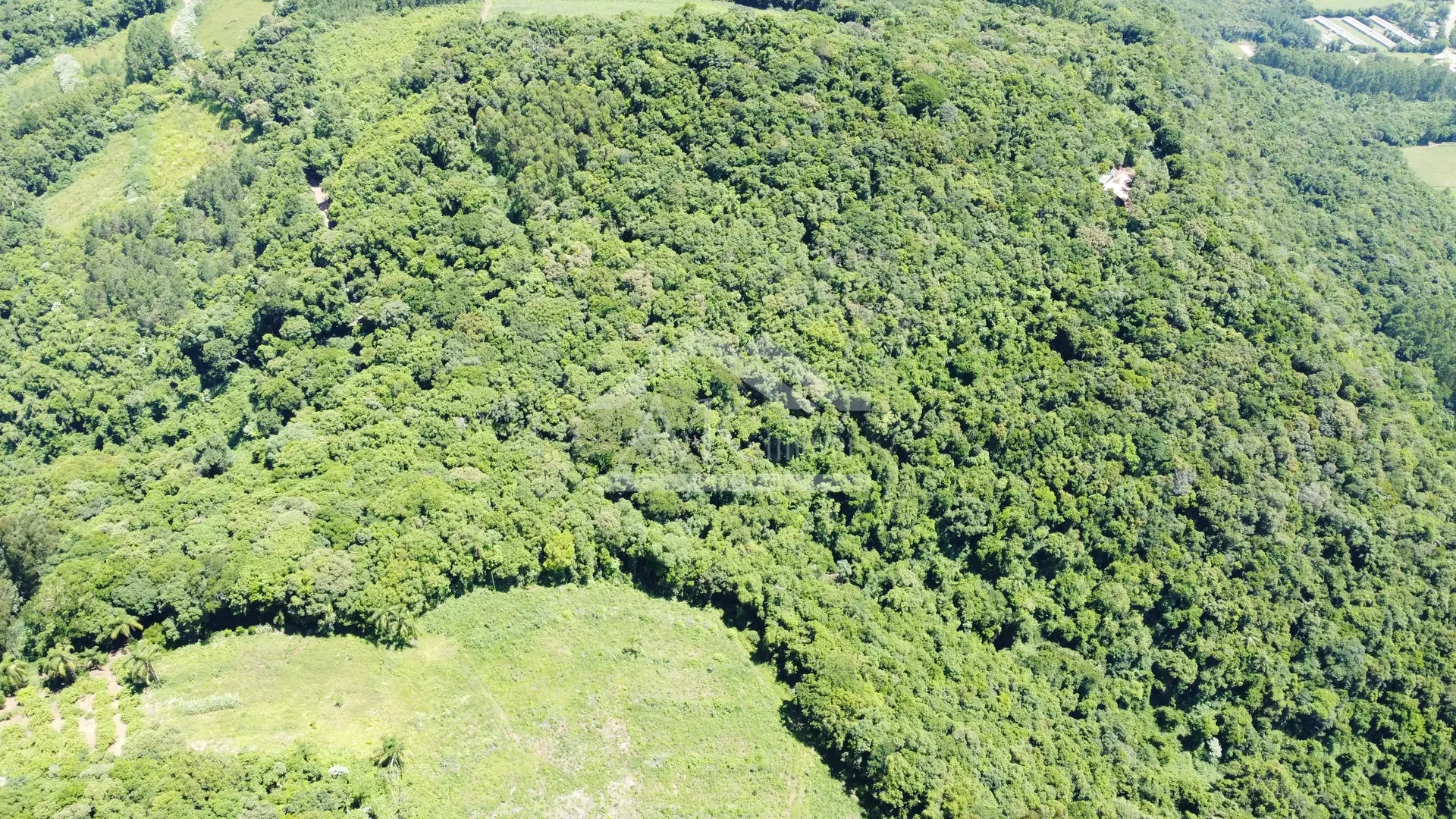 Área de terra com potencial de vista à venda em Picada Café na Serra Gaúcha