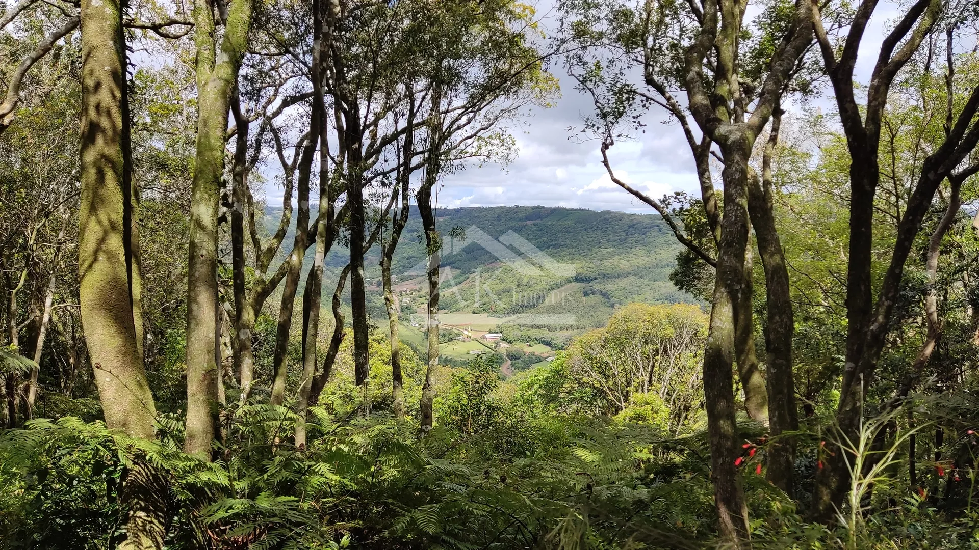 Sítio de cinema, com açudes e vista, à venda em Morro Reuter-RS