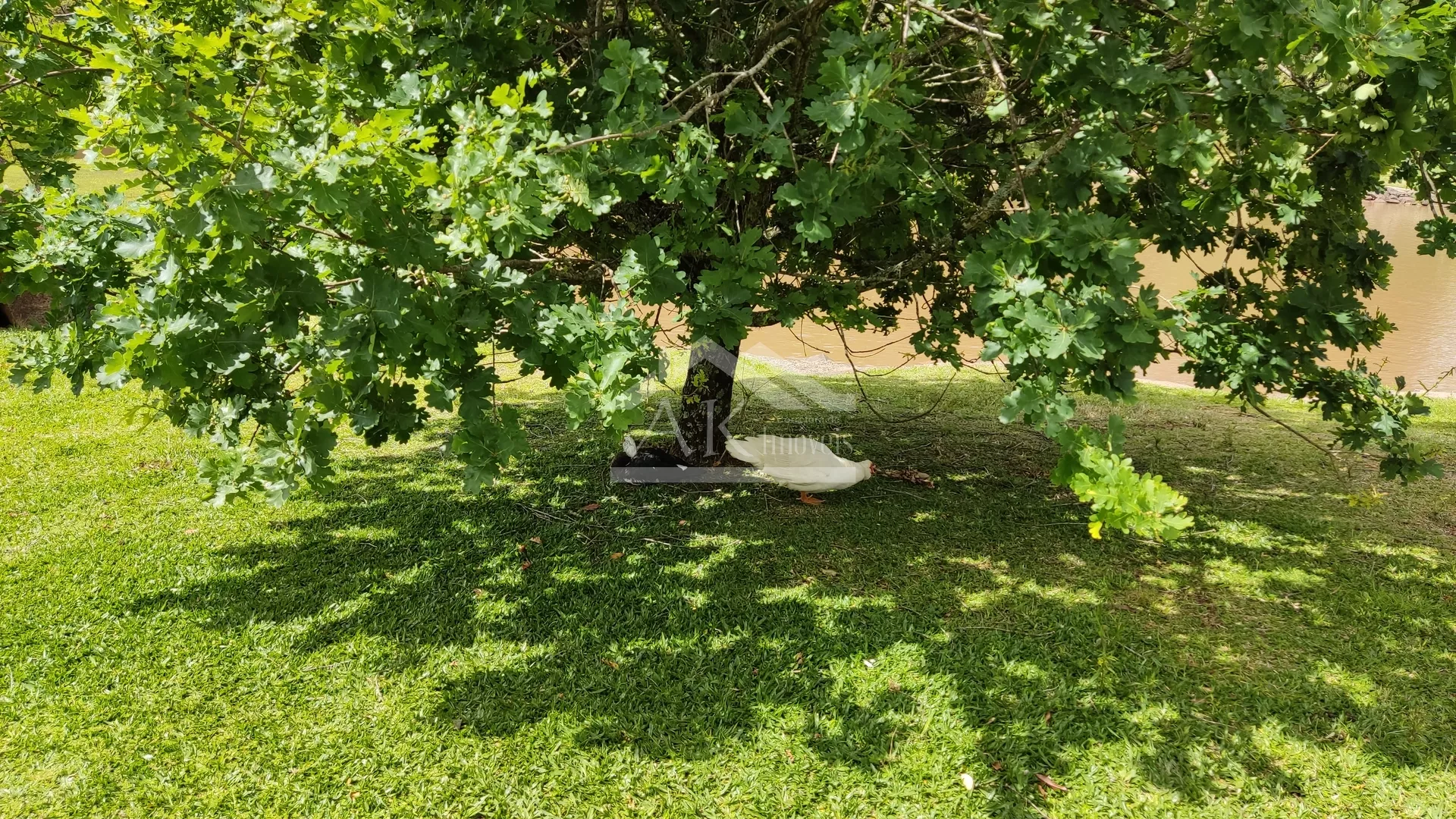 Sítio de cinema, com açudes e vista, à venda em Morro Reuter-RS