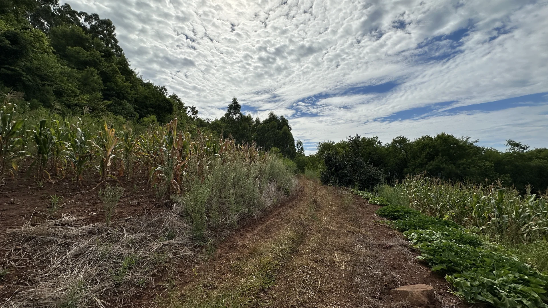 Área de terra à venda em Linha Olinda, Nova Petrópolis, na Serra Gaúcha