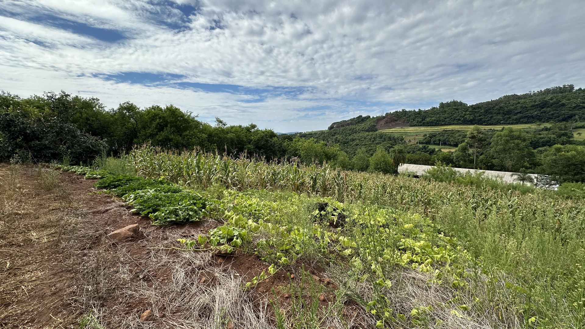 Área de terra à venda em Linha Olinda, Nova Petrópolis, na Serra Gaúcha