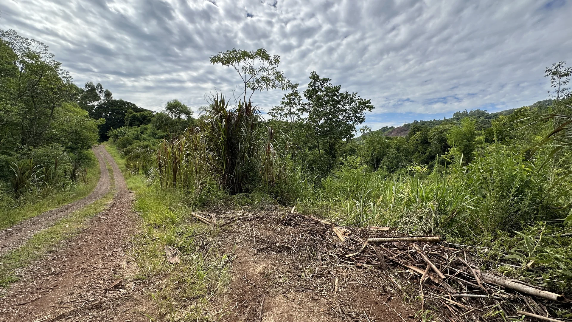 Área de terra à venda em Linha Olinda, Nova Petrópolis, na Serra Gaúcha