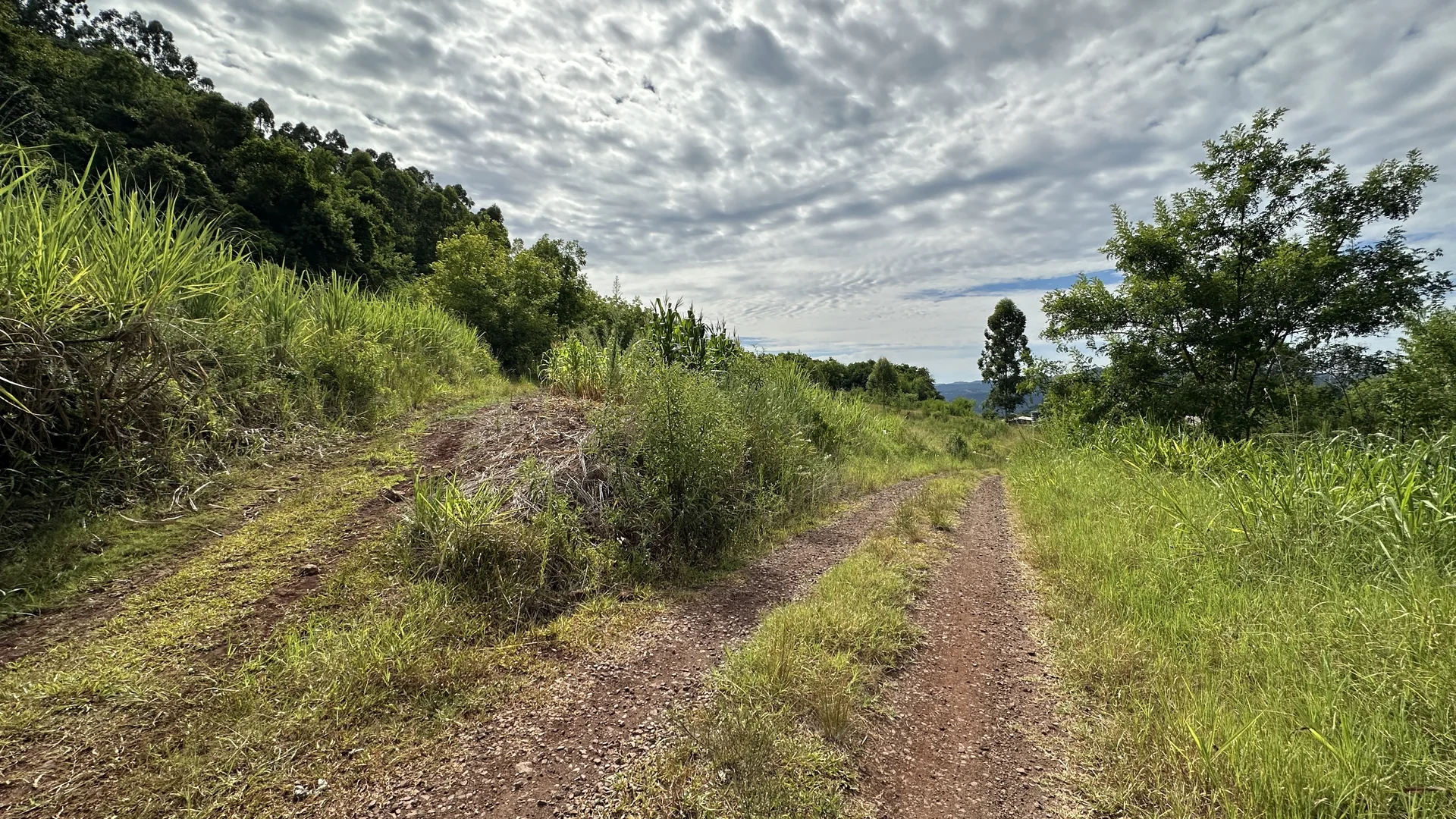 Área de terra à venda em Linha Olinda, Nova Petrópolis, na Serra Gaúcha