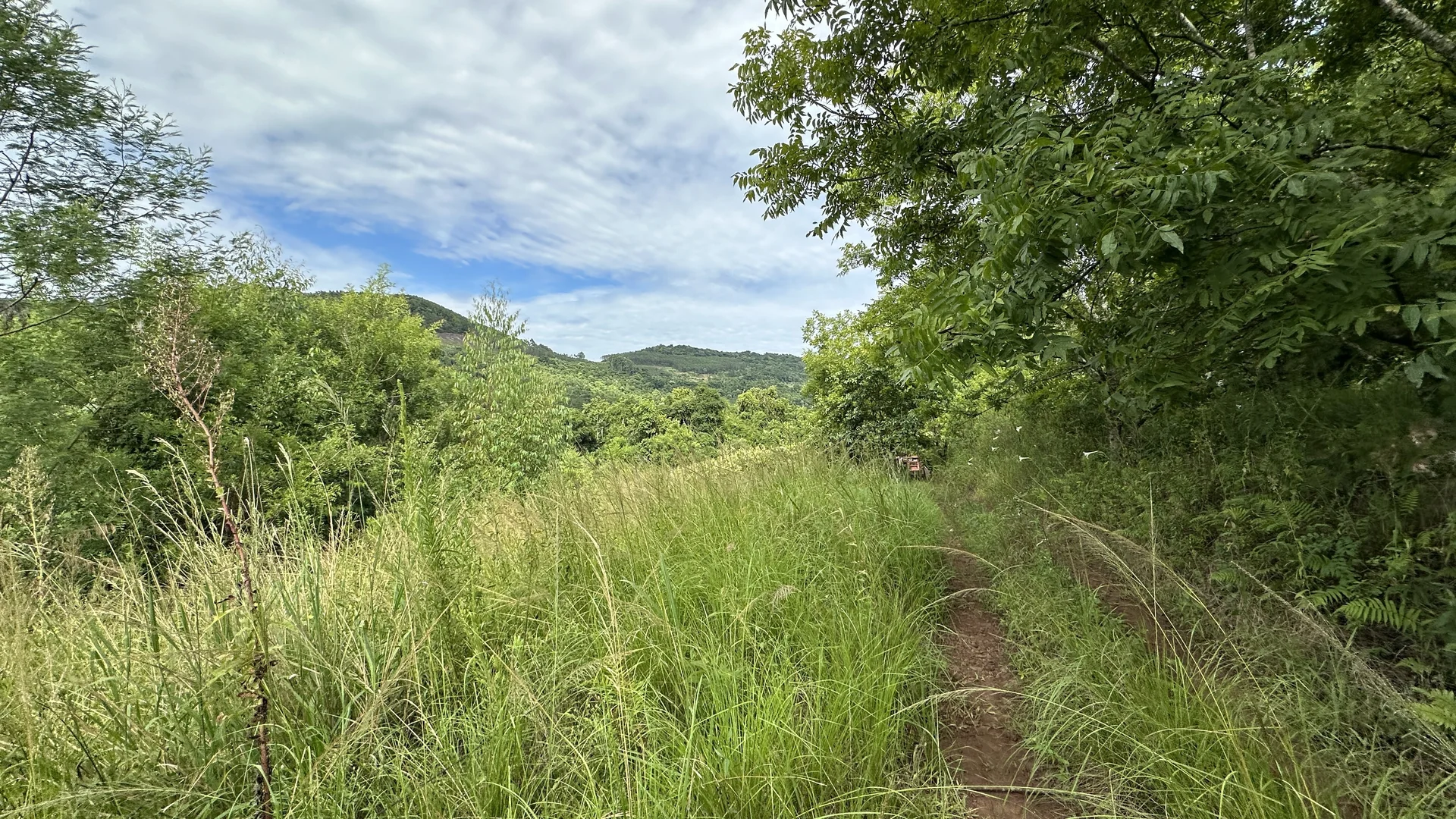 Área de terra à venda em Linha Olinda, Nova Petrópolis, na Serra Gaúcha