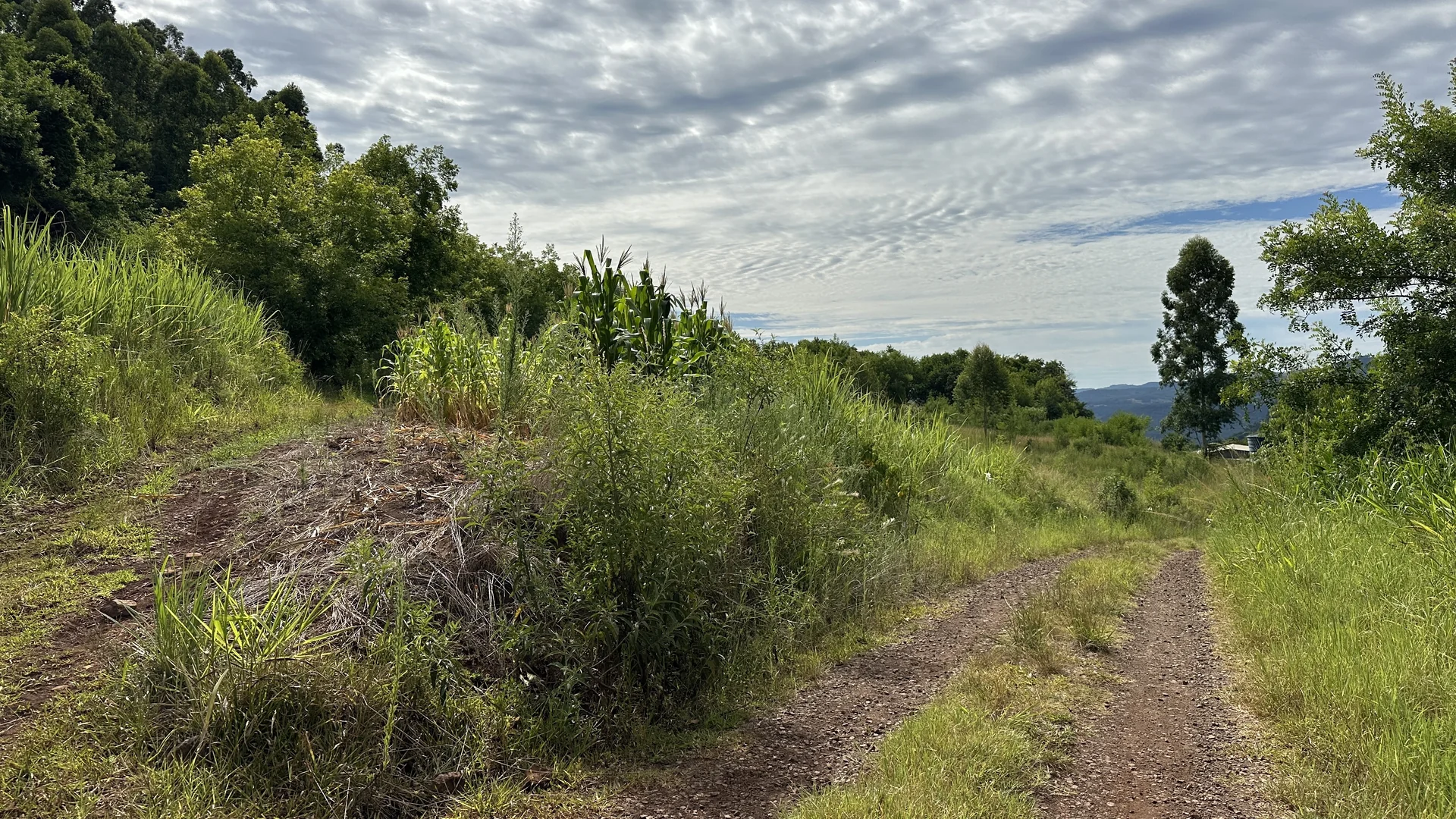 Área de terra à venda em Linha Olinda, Nova Petrópolis, na Serra Gaúcha