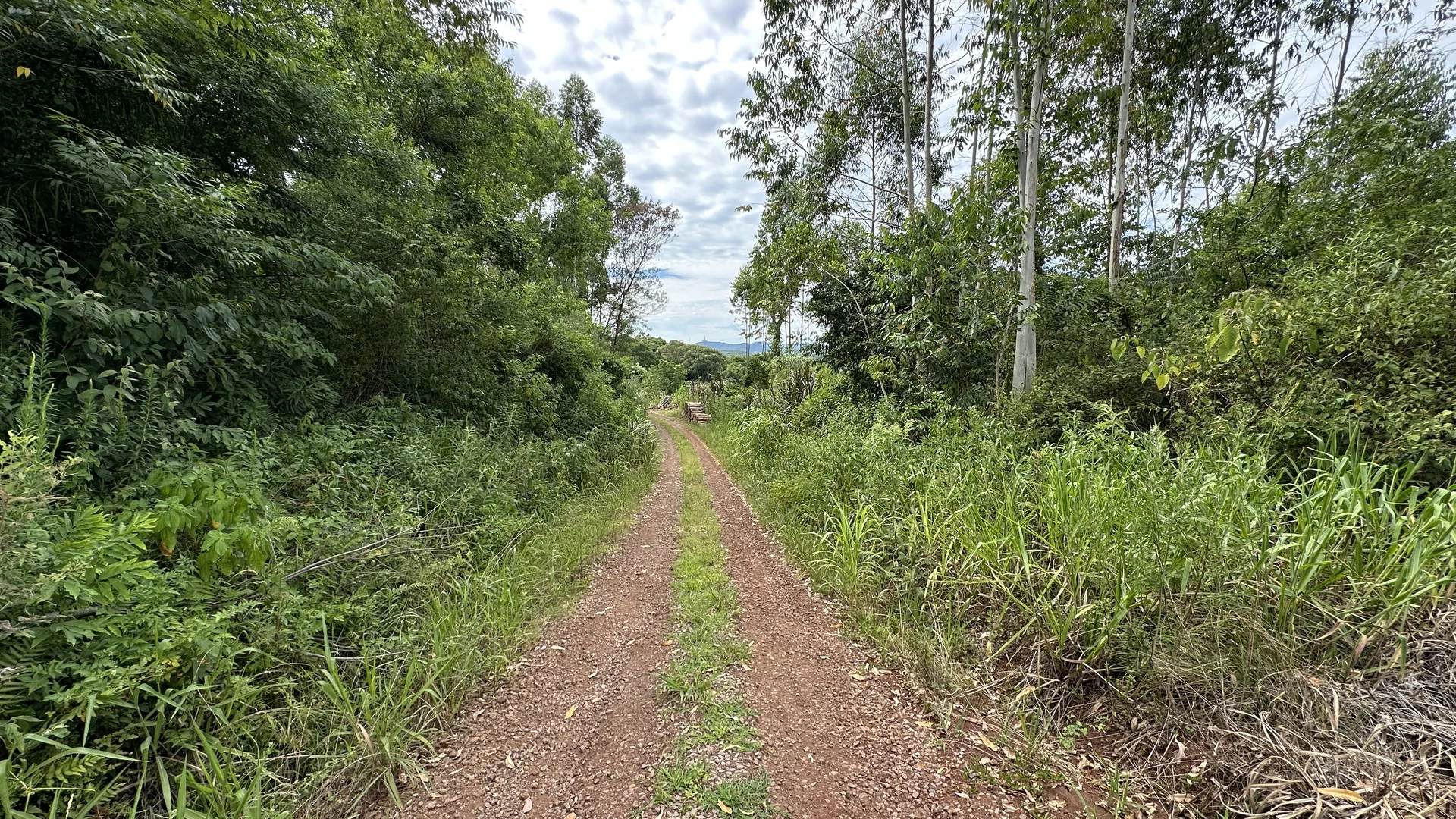 Área de terra à venda em Linha Olinda, Nova Petrópolis, na Serra Gaúcha