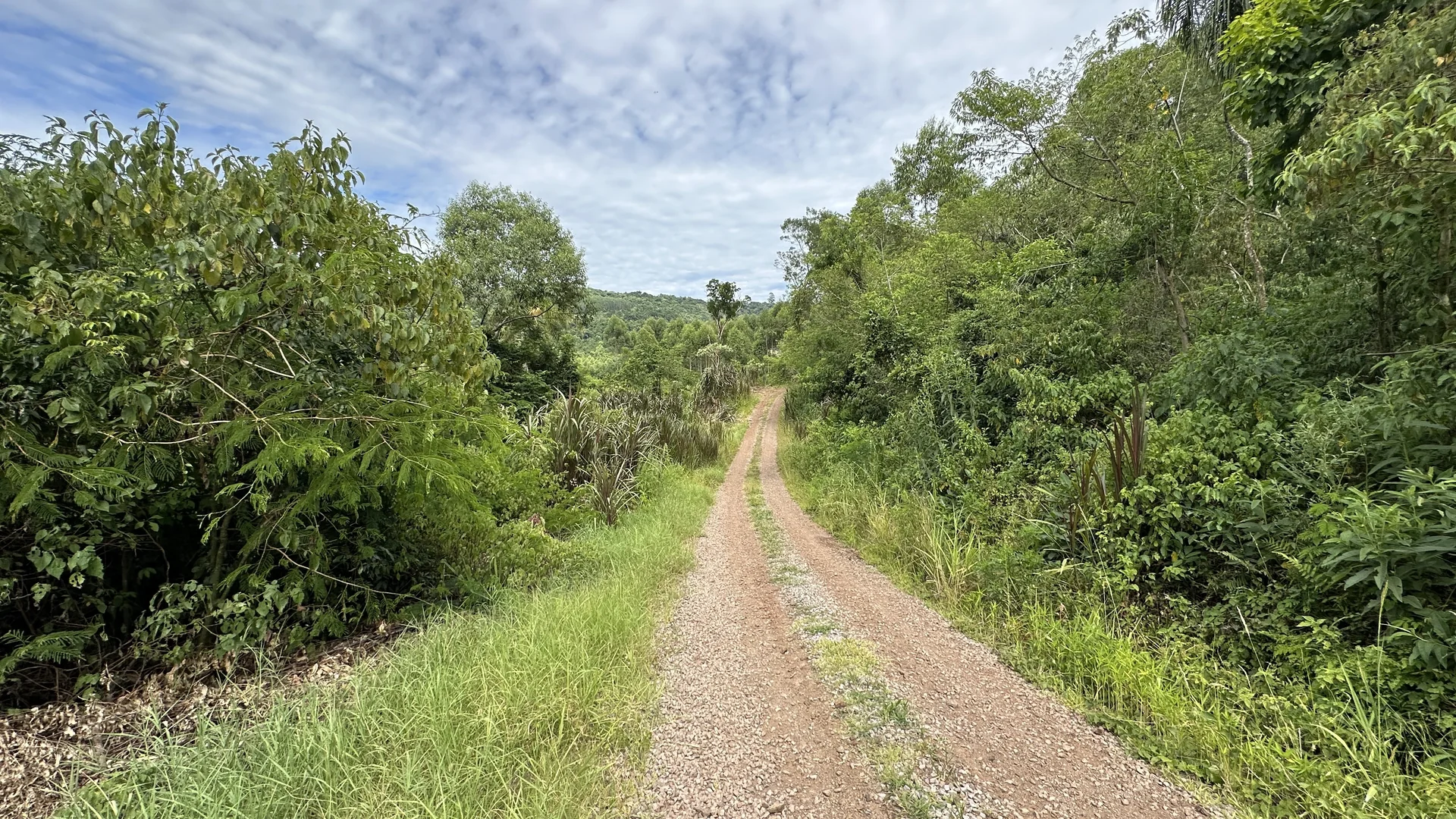 Área de terra à venda em Linha Olinda, Nova Petrópolis, na Serra Gaúcha