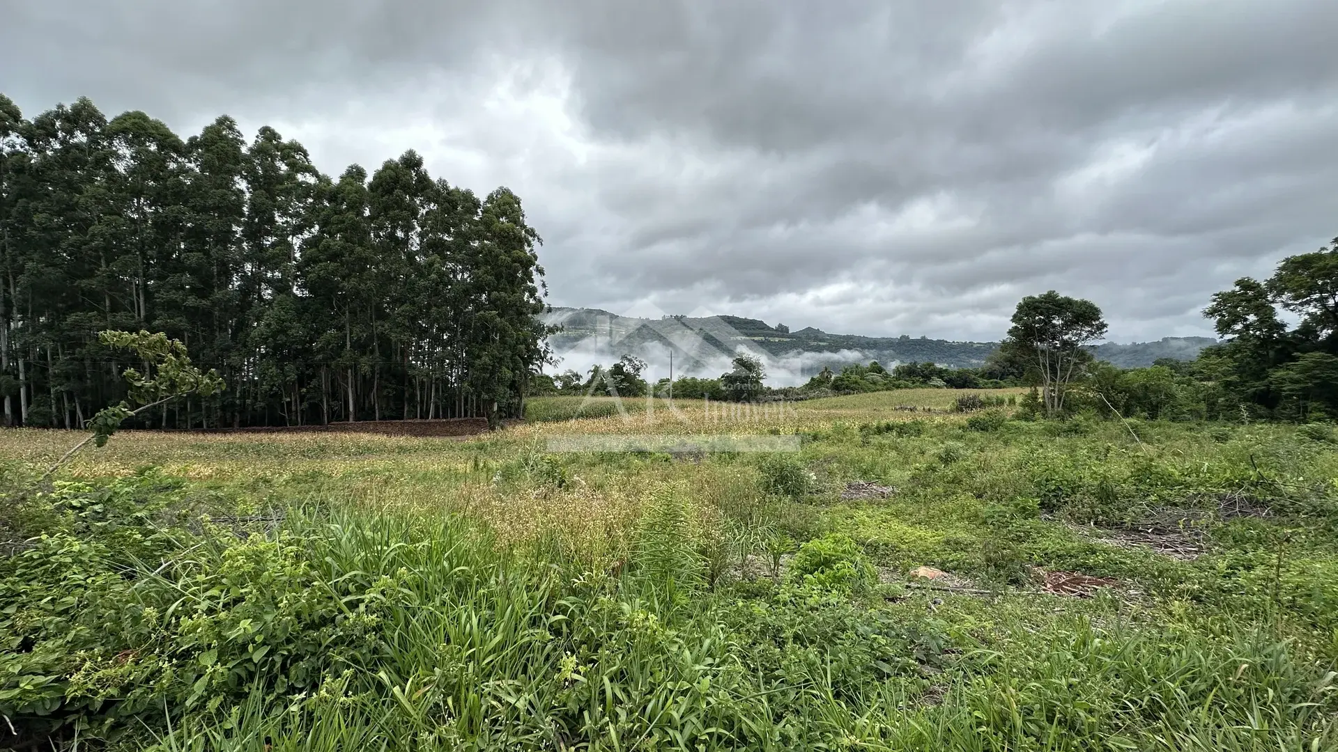 Área de terra à venda em Picada Café na Serra Gaúcha