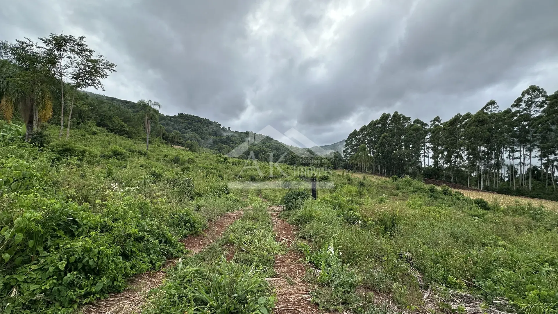 Área de terra à venda em Picada Café na Serra Gaúcha