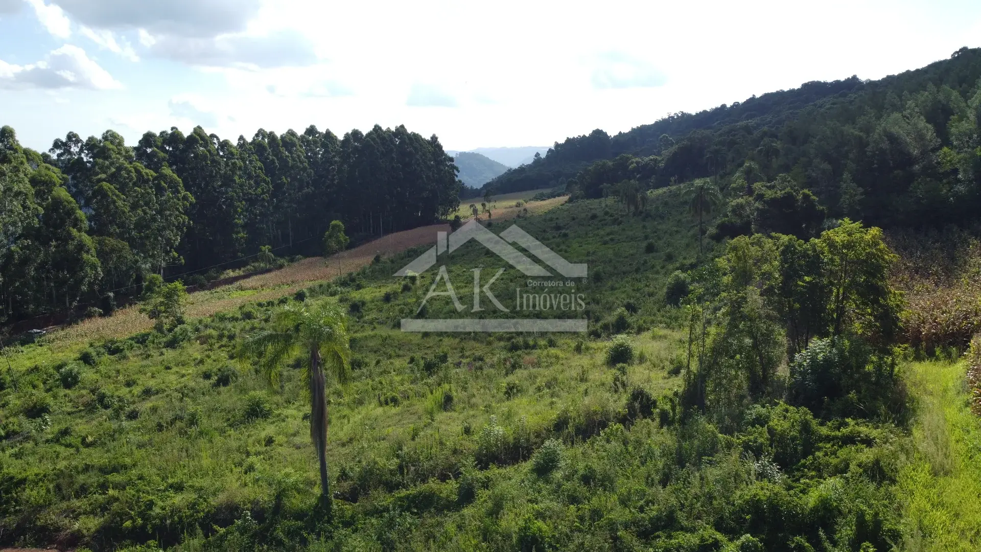 Área de terra à venda em Picada Café na Serra Gaúcha