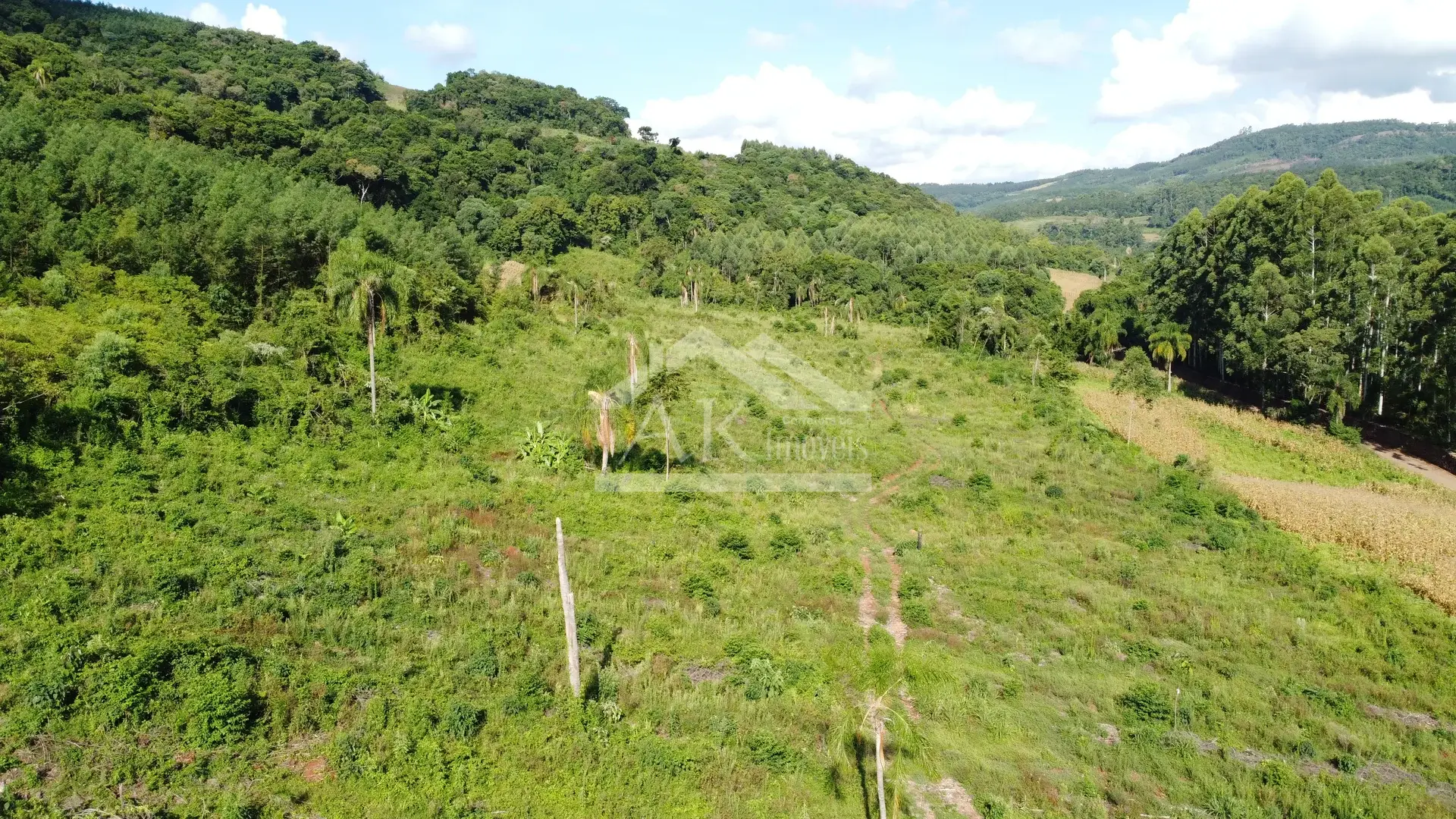 Área de terra à venda em Picada Café na Serra Gaúcha
