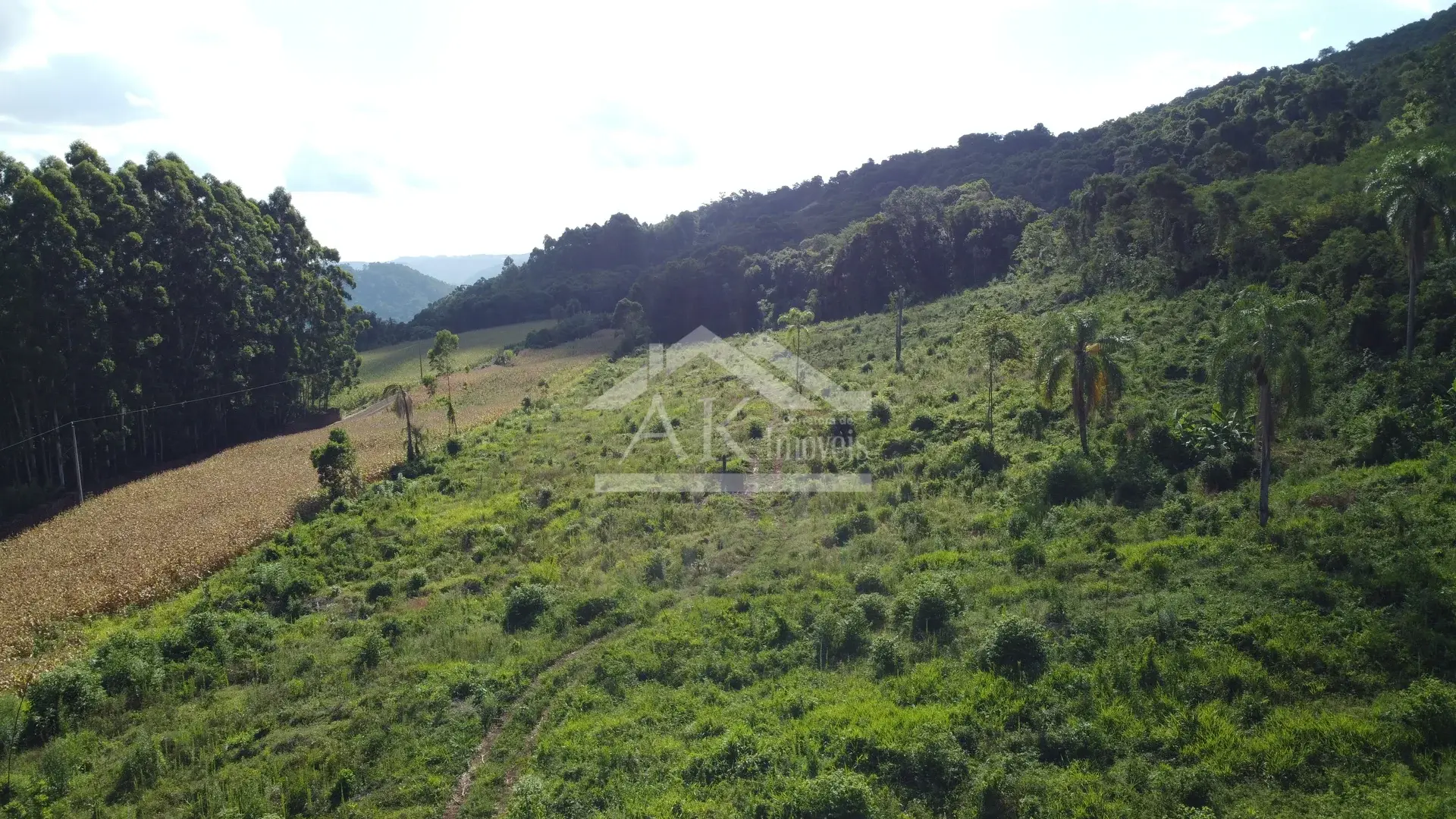 Área de terra à venda em Picada Café na Serra Gaúcha