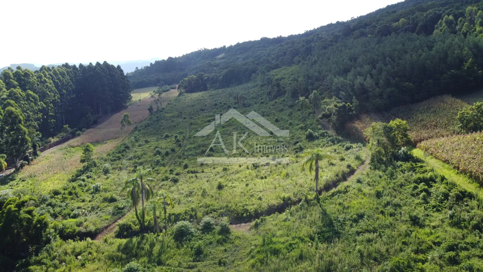 Área de terra à venda em Picada Café na Serra Gaúcha