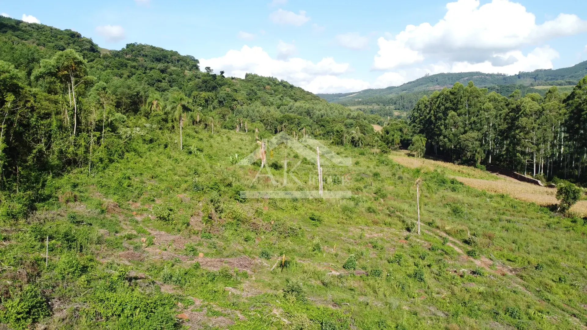 Área de terra à venda em Picada Café na Serra Gaúcha