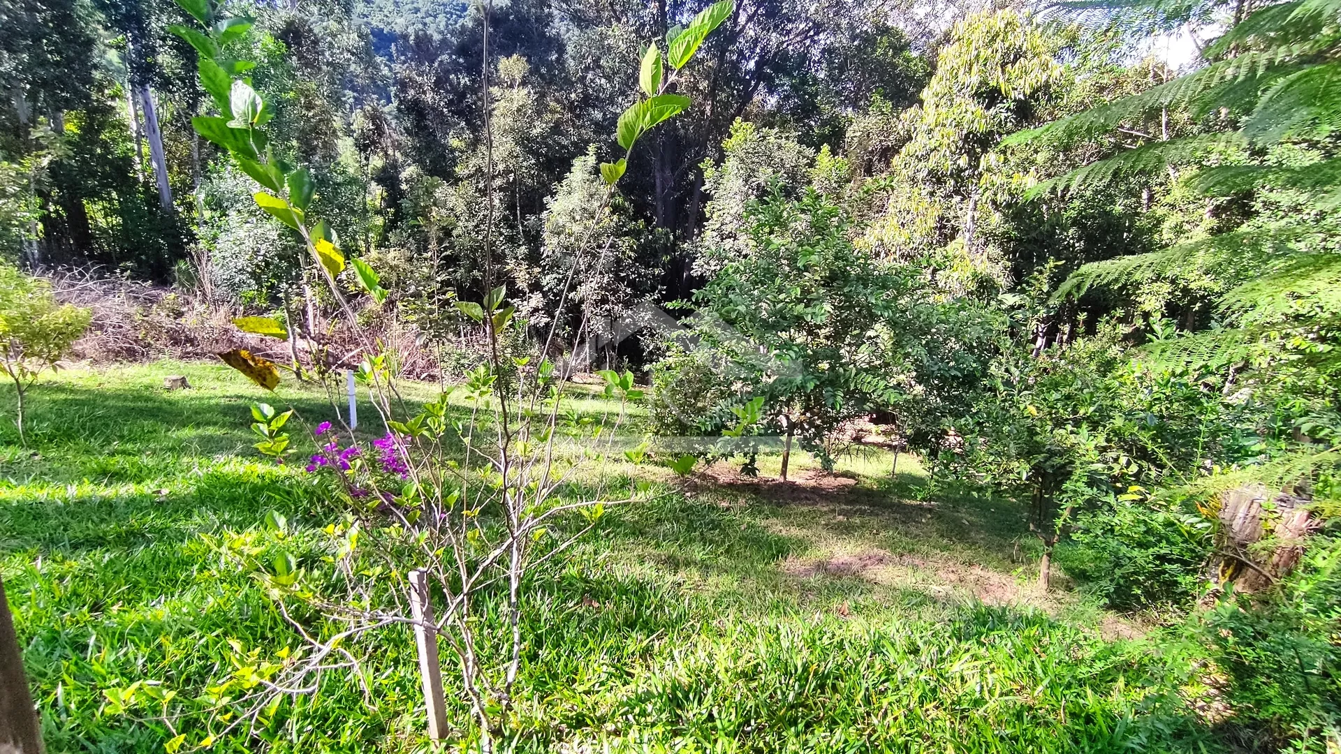 Chalé com 2 dormitórios à venda em Picada Café, na Serra Gaúcha