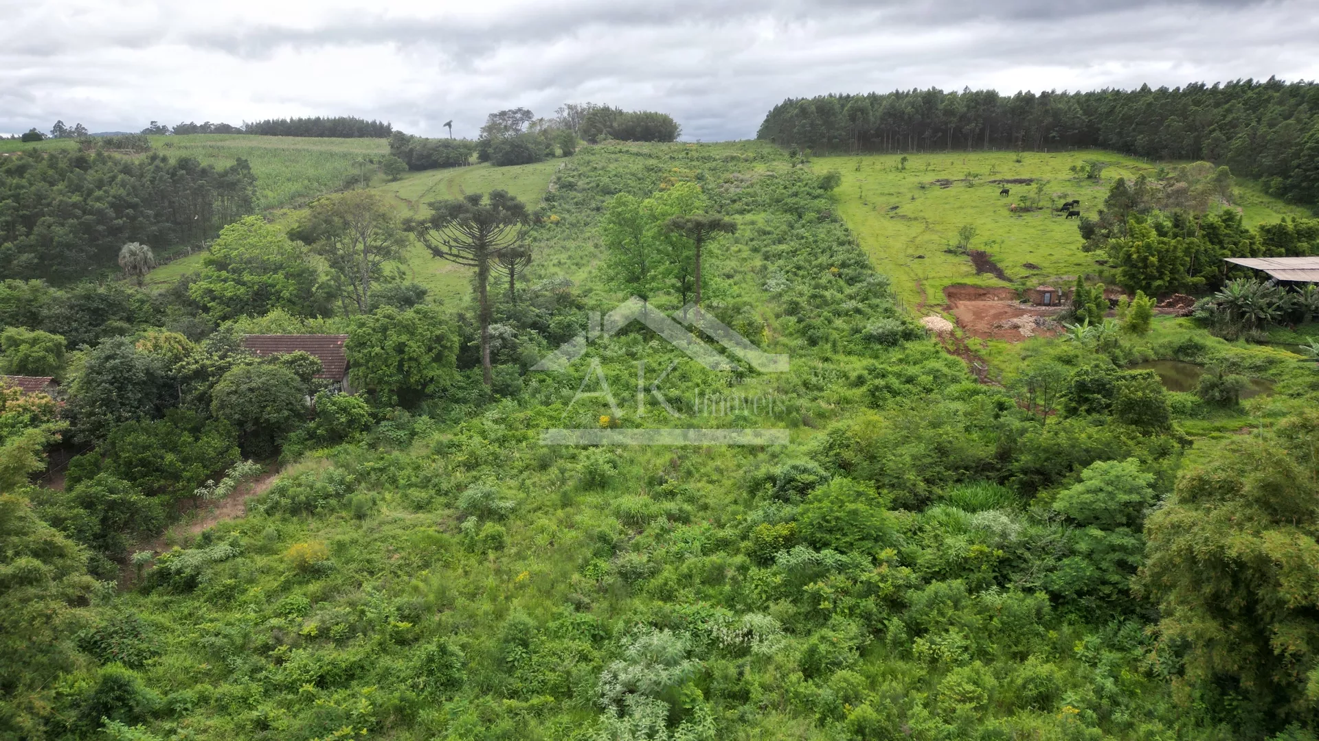 Área de terra com ótimo aproveitamento à venda na cidade de Presidente Lucena